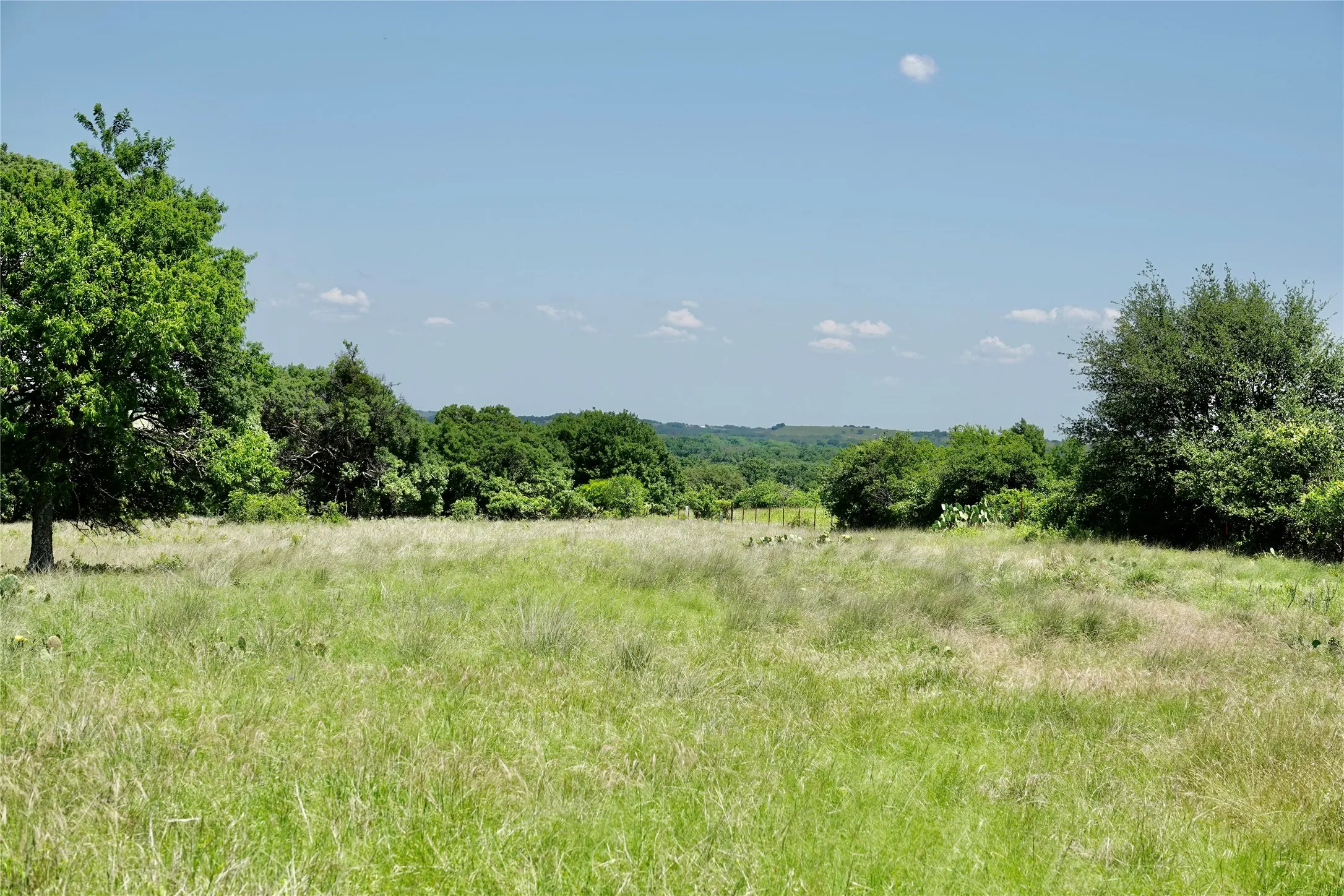 Ranch For Sale in Mills County , 801 N SH 16, Priddy, Texas 76870, 0, 0, Garage spaces, 0 Sqft, built in 0, Price $299,000, mls#21134624, Real Estate Agent in Priddy, Homes For Sale in Mills county, Homes For Sale in Priddy, Realtor in Priddy Texas, Real Estate Brokerage Independent Realty Texas, Luminita Cordes Realtor
