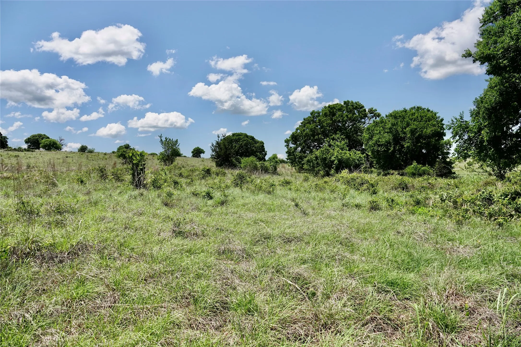 Ranch For Sale in Mills County , 801 N SH 16, Priddy, Texas 76870, 0, 0, Garage spaces, 0 Sqft, built in 0, Price $299,000, mls#21134624, Real Estate Agent in Priddy, Homes For Sale in Mills county, Homes For Sale in Priddy, Realtor in Priddy Texas, Real Estate Brokerage Independent Realty Texas, Luminita Cordes Realtor