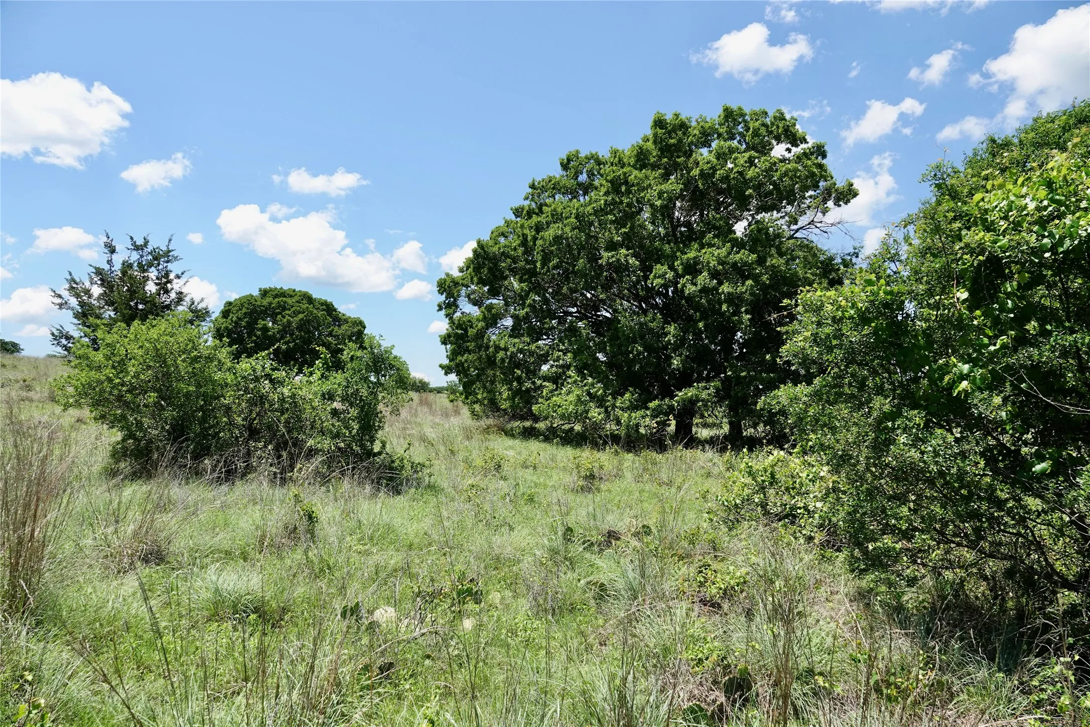 Ranch For Sale in Mills County , 801 N SH 16, Priddy, Texas 76870, 0, 0, Garage spaces, 0 Sqft, built in 0, Price $299,000, mls#21134624, Real Estate Agent in Priddy, Homes For Sale in Mills county, Homes For Sale in Priddy, Realtor in Priddy Texas, Real Estate Brokerage Independent Realty Texas, Luminita Cordes Realtor