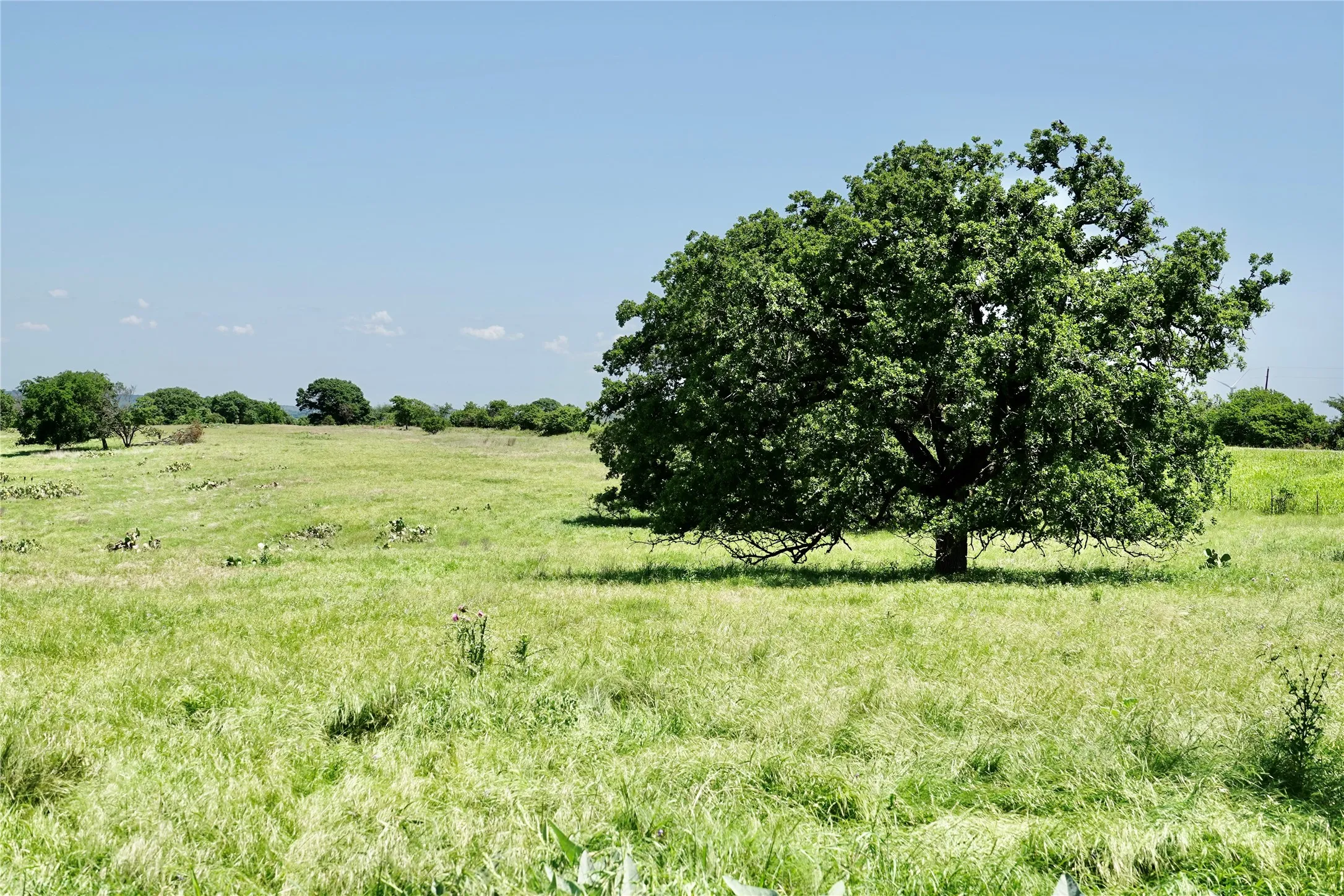 Ranch For Sale in Mills County , 801 N SH 16, Priddy, Texas 76870, 0, 0, Garage spaces, 0 Sqft, built in 0, Price $299,000, mls#21134624, Real Estate Agent in Priddy, Homes For Sale in Mills county, Homes For Sale in Priddy, Realtor in Priddy Texas, Real Estate Brokerage Independent Realty Texas, Luminita Cordes Realtor