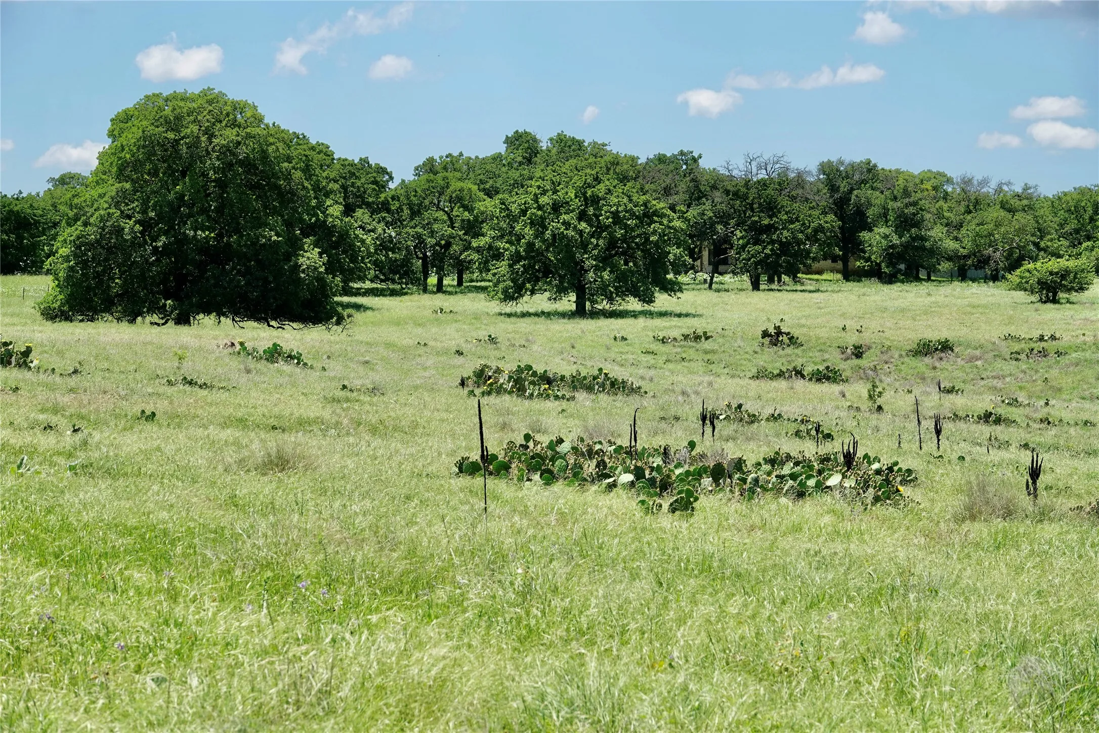 Ranch For Sale in Mills County , 801 N SH 16, Priddy, Texas 76870, 0, 0, Garage spaces, 0 Sqft, built in 0, Price $299,000, mls#21134624, Real Estate Agent in Priddy, Homes For Sale in Mills county, Homes For Sale in Priddy, Realtor in Priddy Texas, Real Estate Brokerage Independent Realty Texas, Luminita Cordes Realtor