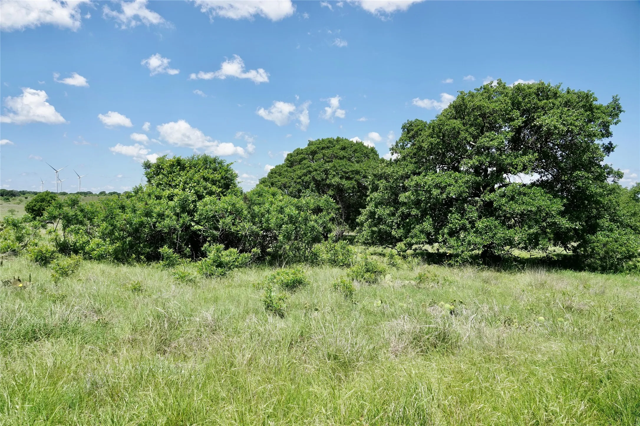Ranch For Sale in Mills County , 801 N SH 16, Priddy, Texas 76870, 0, 0, Garage spaces, 0 Sqft, built in 0, Price $299,000, mls#21134624, Real Estate Agent in Priddy, Homes For Sale in Mills county, Homes For Sale in Priddy, Realtor in Priddy Texas, Real Estate Brokerage Independent Realty Texas, Luminita Cordes Realtor