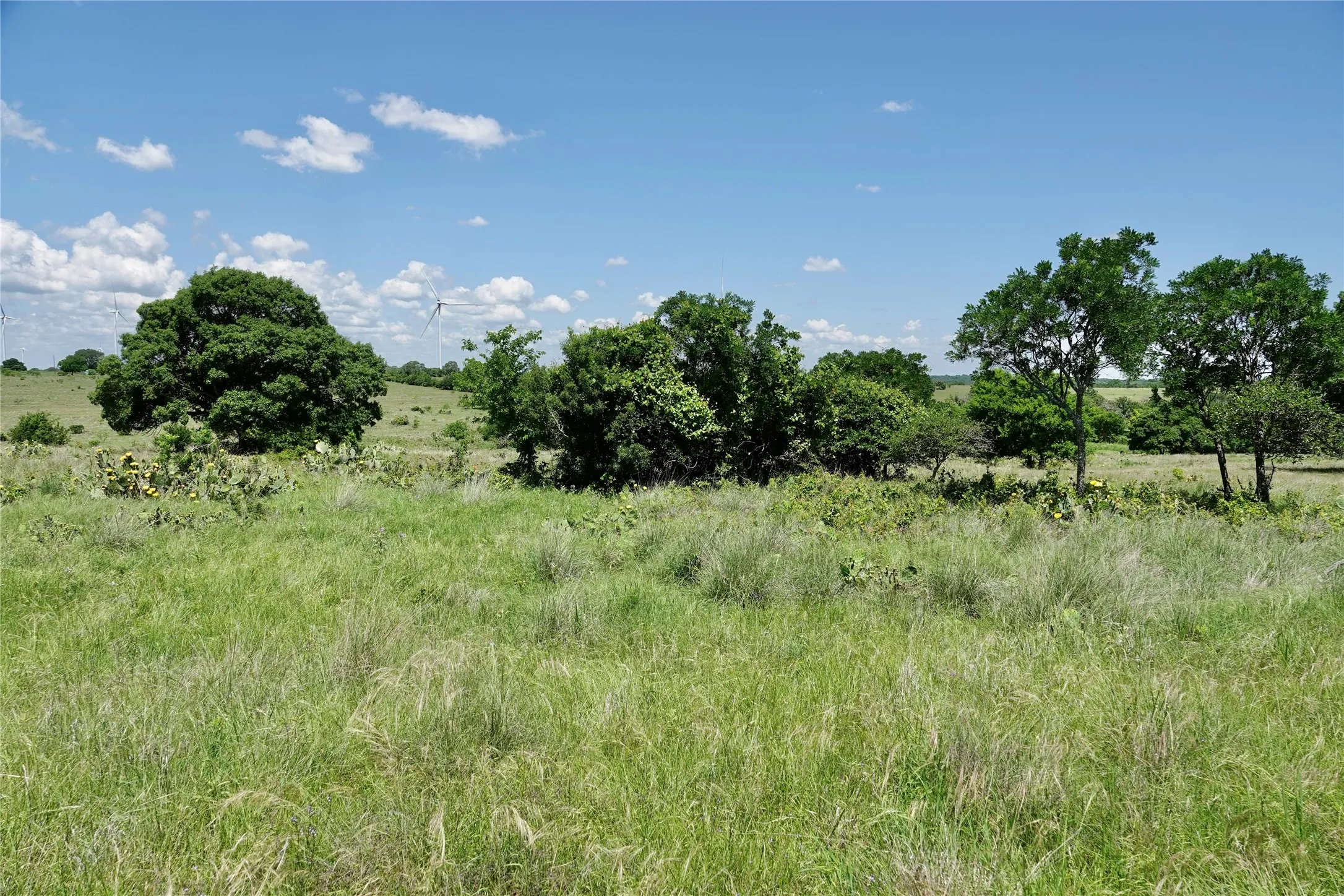 Ranch For Sale in Mills County , 801 N SH 16, Priddy, Texas 76870, 0, 0, Garage spaces, 0 Sqft, built in 0, Price $299,000, mls#21134624, Real Estate Agent in Priddy, Homes For Sale in Mills county, Homes For Sale in Priddy, Realtor in Priddy Texas, Real Estate Brokerage Independent Realty Texas, Luminita Cordes Realtor