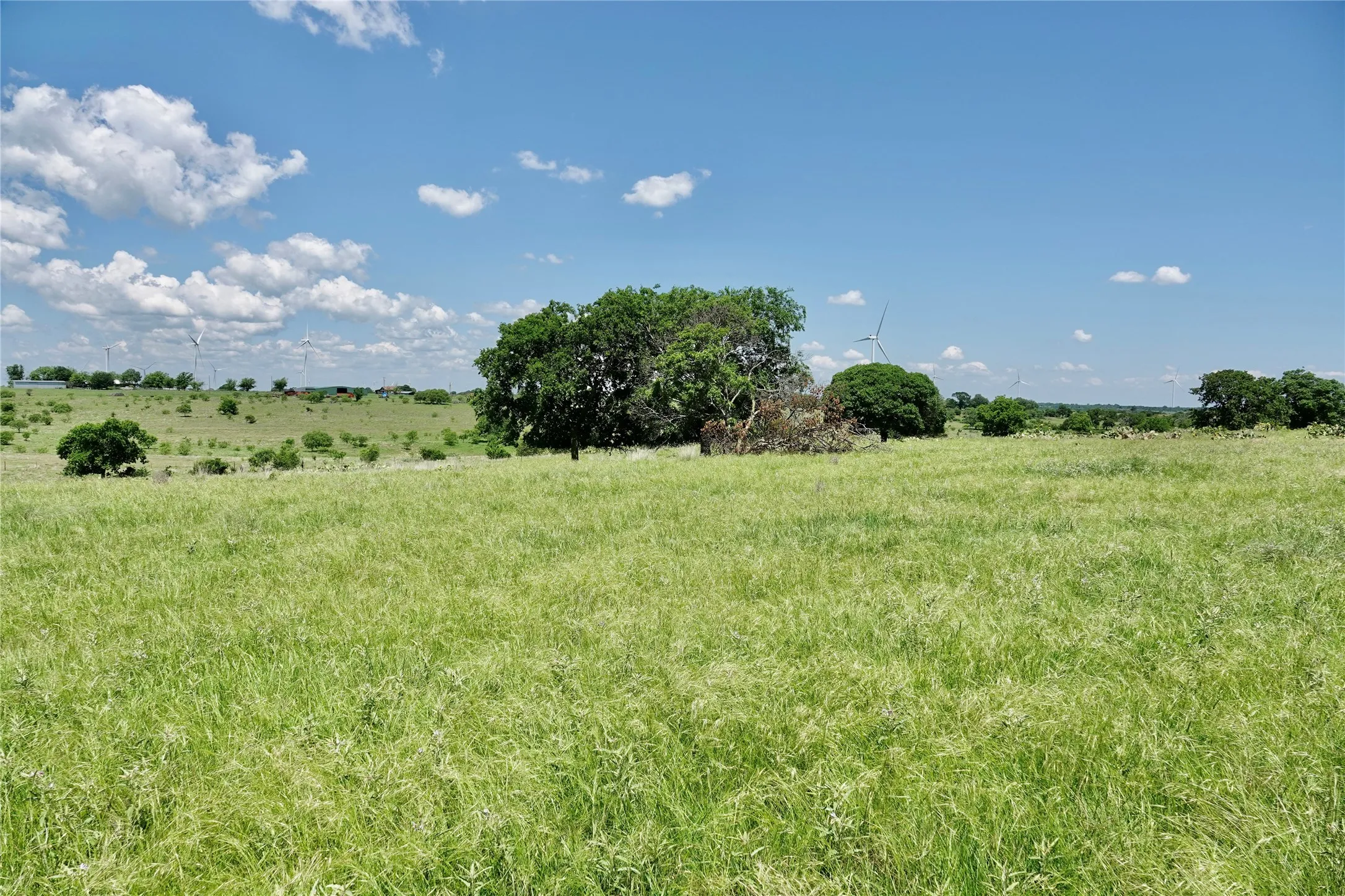 Ranch For Sale in Mills County , 801 N SH 16, Priddy, Texas 76870, 0, 0, Garage spaces, 0 Sqft, built in 0, Price $299,000, mls#21134624, Real Estate Agent in Priddy, Homes For Sale in Mills county, Homes For Sale in Priddy, Realtor in Priddy Texas, Real Estate Brokerage Independent Realty Texas, Luminita Cordes Realtor