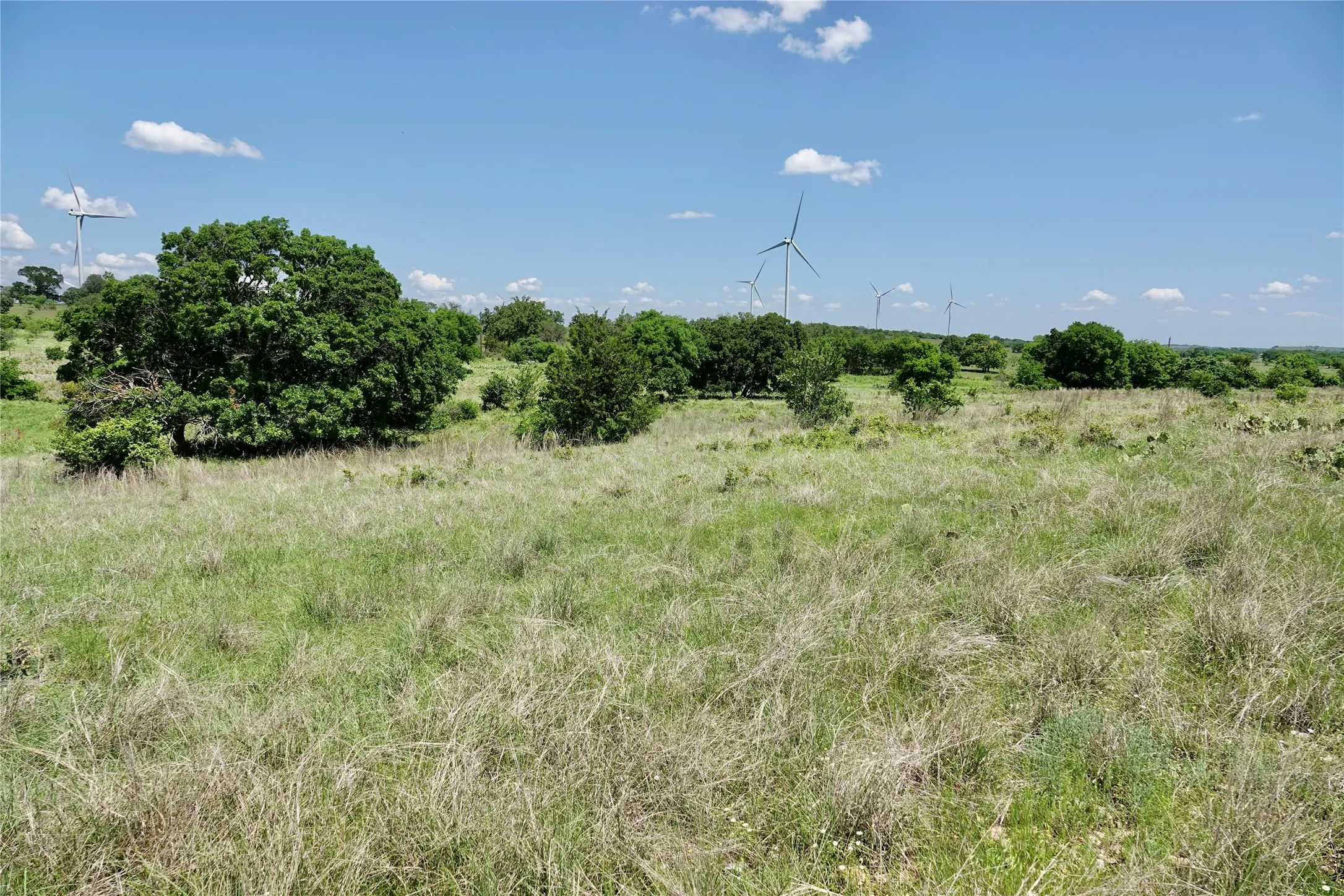 Ranch For Sale in Mills County , 801 N SH 16, Priddy, Texas 76870, 0, 0, Garage spaces, 0 Sqft, built in 0, Price $299,000, mls#21134624, Real Estate Agent in Priddy, Homes For Sale in Mills county, Homes For Sale in Priddy, Realtor in Priddy Texas, Real Estate Brokerage Independent Realty Texas, Luminita Cordes Realtor