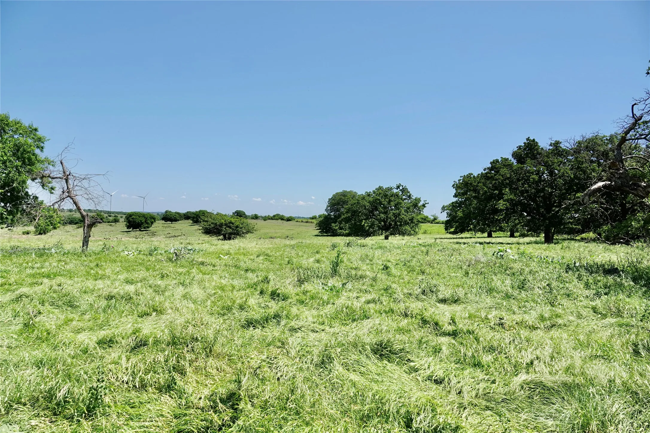 Ranch For Sale in Mills County , 801 N SH 16, Priddy, Texas 76870, 0, 0, Garage spaces, 0 Sqft, built in 0, Price $299,000, mls#21134624, Real Estate Agent in Priddy, Homes For Sale in Mills county, Homes For Sale in Priddy, Realtor in Priddy Texas, Real Estate Brokerage Independent Realty Texas, Luminita Cordes Realtor