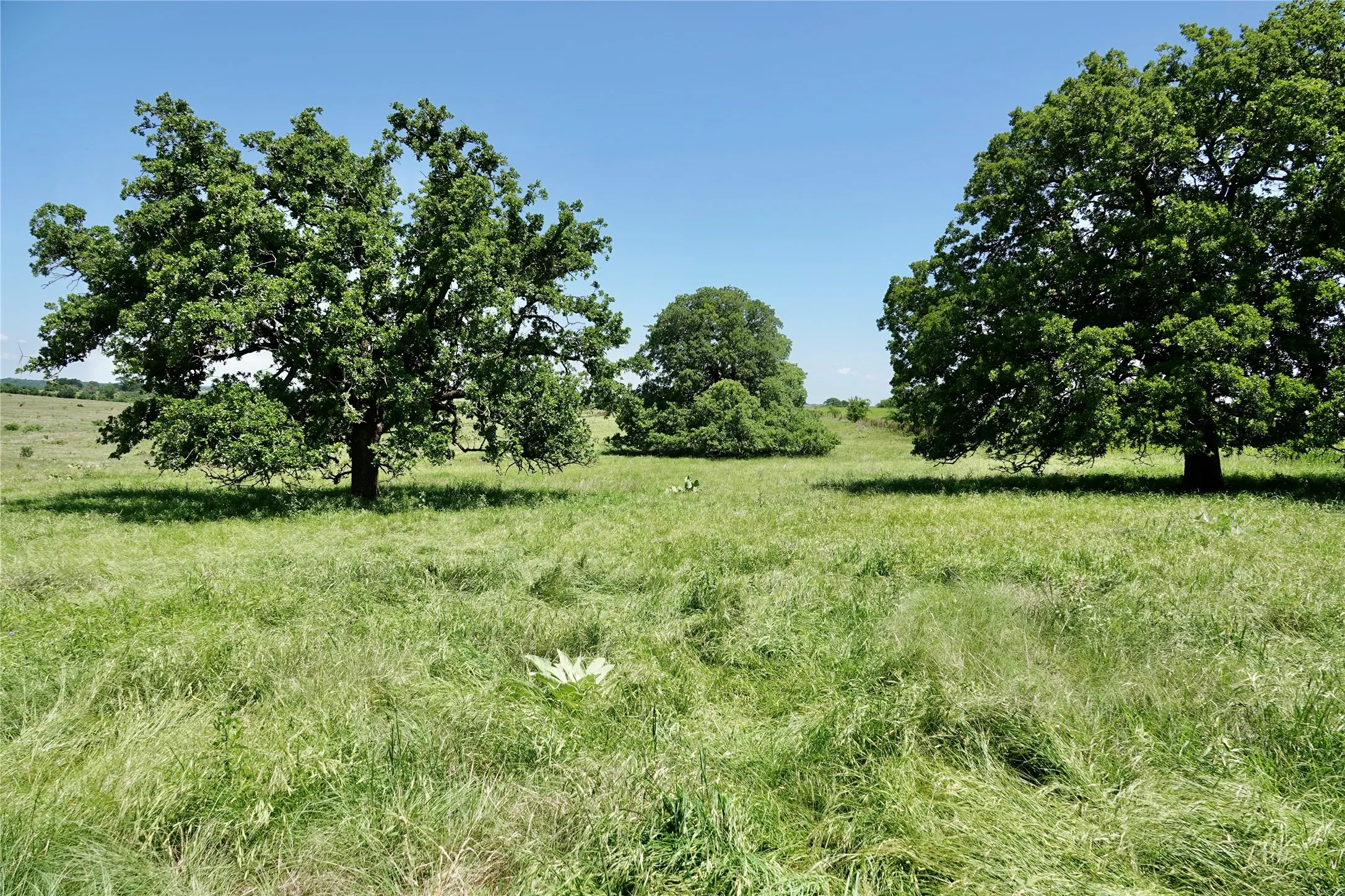 Ranch For Sale in Mills County , 801 N SH 16, Priddy, Texas 76870, 0, 0, Garage spaces, 0 Sqft, built in 0, Price $299,000, mls#21134624, Real Estate Agent in Priddy, Homes For Sale in Mills county, Homes For Sale in Priddy, Realtor in Priddy Texas, Real Estate Brokerage Independent Realty Texas, Luminita Cordes Realtor