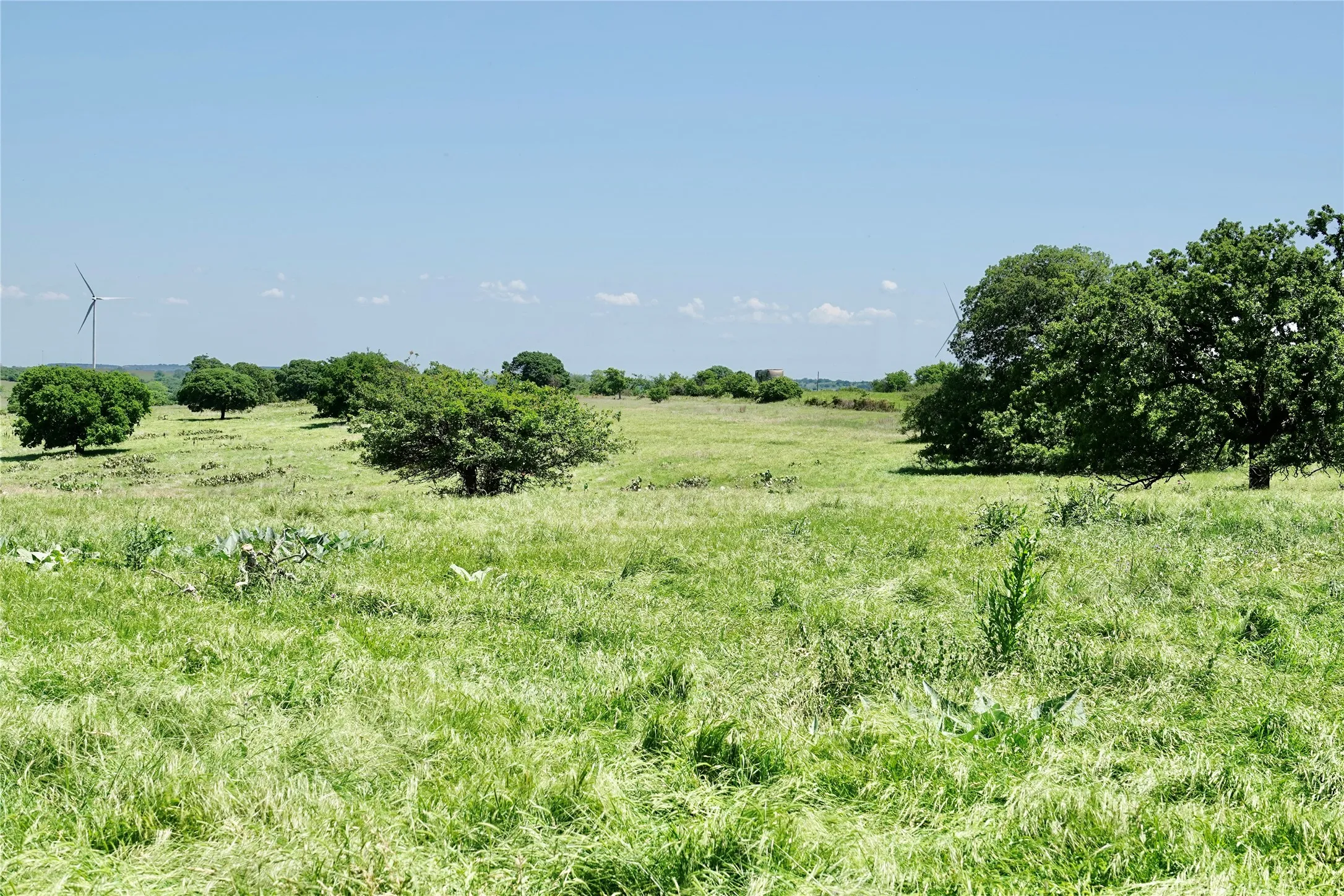 Ranch For Sale in Mills County , 801 N SH 16, Priddy, Texas 76870, 0, 0, Garage spaces, 0 Sqft, built in 0, Price $299,000, mls#21134624, Real Estate Agent in Priddy, Homes For Sale in Mills county, Homes For Sale in Priddy, Realtor in Priddy Texas, Real Estate Brokerage Independent Realty Texas, Luminita Cordes Realtor