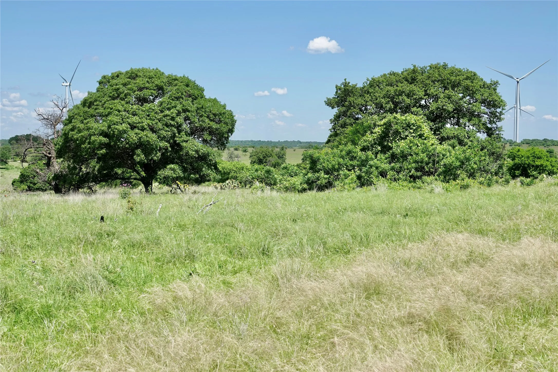 Ranch For Sale in Mills County , 801 N SH 16, Priddy, Texas 76870, 0, 0, Garage spaces, 0 Sqft, built in 0, Price $299,000, mls#21134624, Real Estate Agent in Priddy, Homes For Sale in Mills county, Homes For Sale in Priddy, Realtor in Priddy Texas, Real Estate Brokerage Independent Realty Texas, Luminita Cordes Realtor