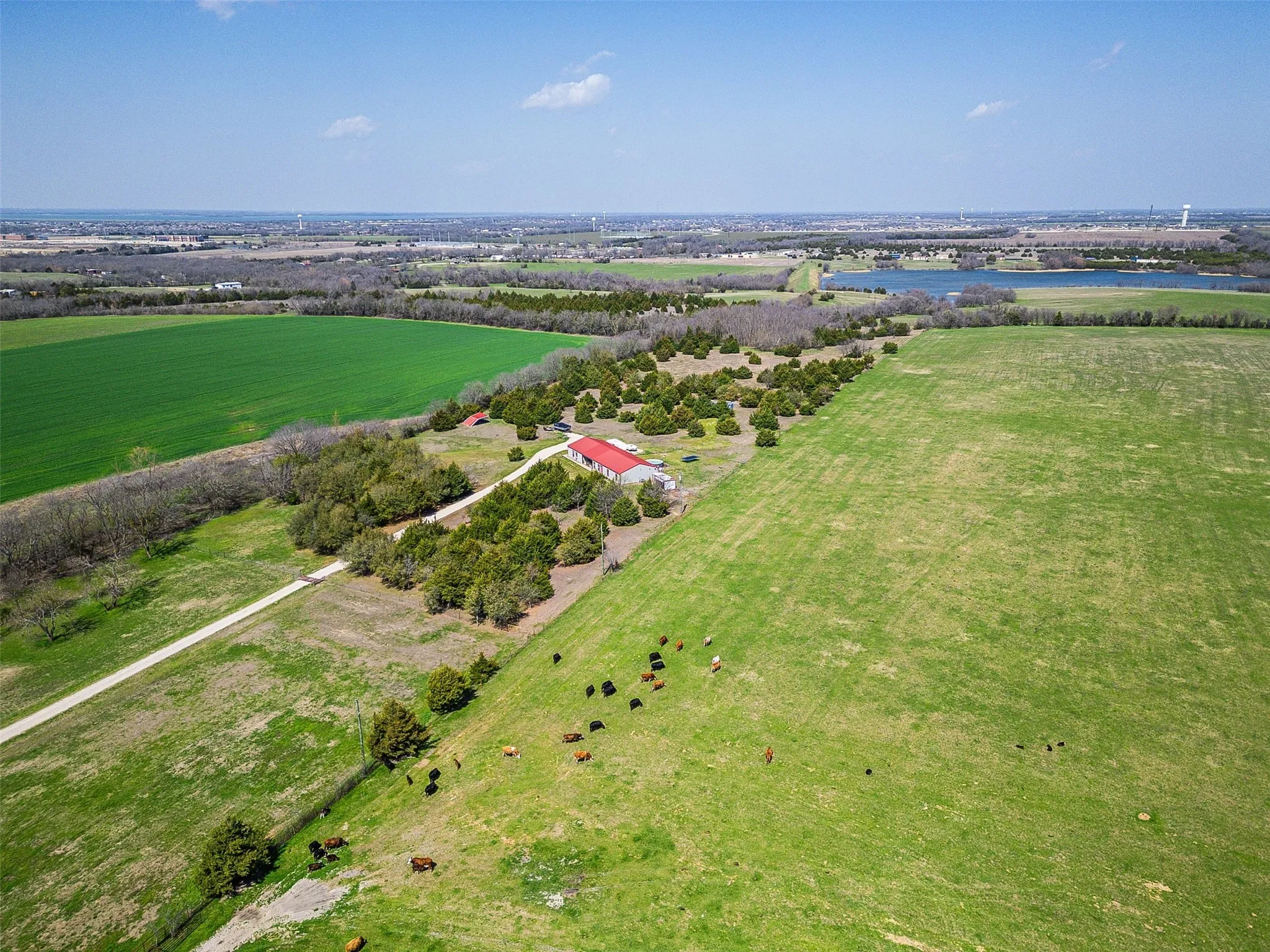 Single Family Residence For Sale in Collin County , 18877 Fm 2755, Royse City, Texas 75189, 3 Bedrooms, 2 Bathrooms, 3 Garage spaces, 1,750 Sqft, built in 2017, Price $2,750,000, mls#21134071, Real Estate Agent in Royse City, Homes For Sale in Collin county, Homes For Sale in Royse City, Realtor in Royse City Texas, Real Estate Brokerage Independent Realty Texas, Luminita Cordes Realtor