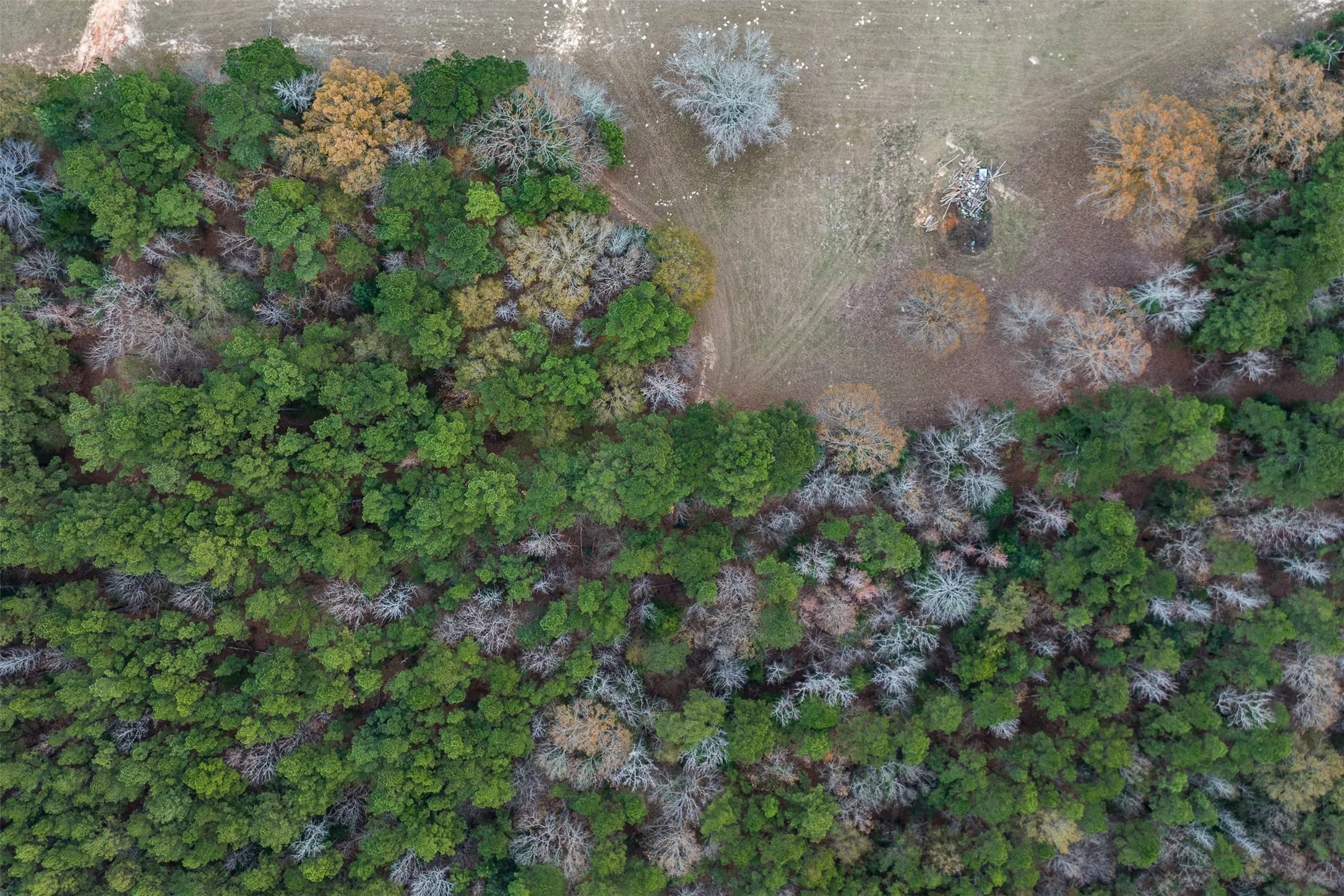Unimproved Land For Sale in Anderson County , 14770 FM 315, Palestine, Texas 75803, 0, 0, Garage spaces, 0 Sqft, built in 0, Price $283,500, mls#21135116, Real Estate Agent in Palestine, Homes For Sale in Anderson county, Homes For Sale in Palestine, Realtor in Palestine Texas, Real Estate Brokerage Independent Realty Texas, Luminita Cordes Realtor