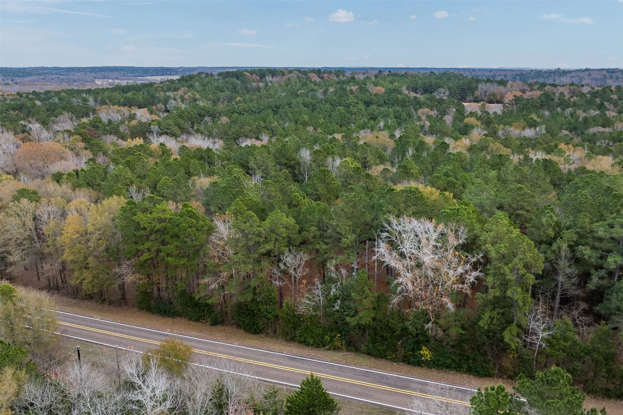 Unimproved Land For Sale in Anderson County , 14770 FM 315, Palestine, Texas 75803, 0, 0, Garage spaces, 0 Sqft, built in 0, Price $283,500, mls#21135116, Real Estate Agent in Palestine, Homes For Sale in Anderson county, Homes For Sale in Palestine, Realtor in Palestine Texas, Real Estate Brokerage Independent Realty Texas, Luminita Cordes Realtor