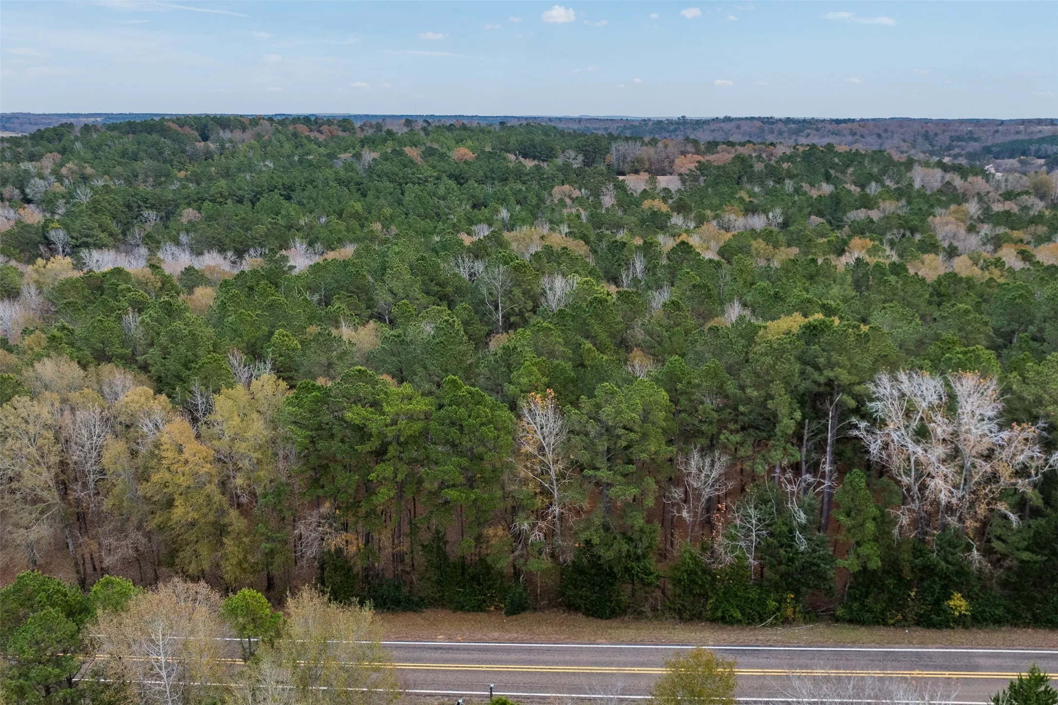 Unimproved Land For Sale in Anderson County , 14770 FM 315, Palestine, Texas 75803, 0, 0, Garage spaces, 0 Sqft, built in 0, Price $283,500, mls#21135116, Real Estate Agent in Palestine, Homes For Sale in Anderson county, Homes For Sale in Palestine, Realtor in Palestine Texas, Real Estate Brokerage Independent Realty Texas, Luminita Cordes Realtor