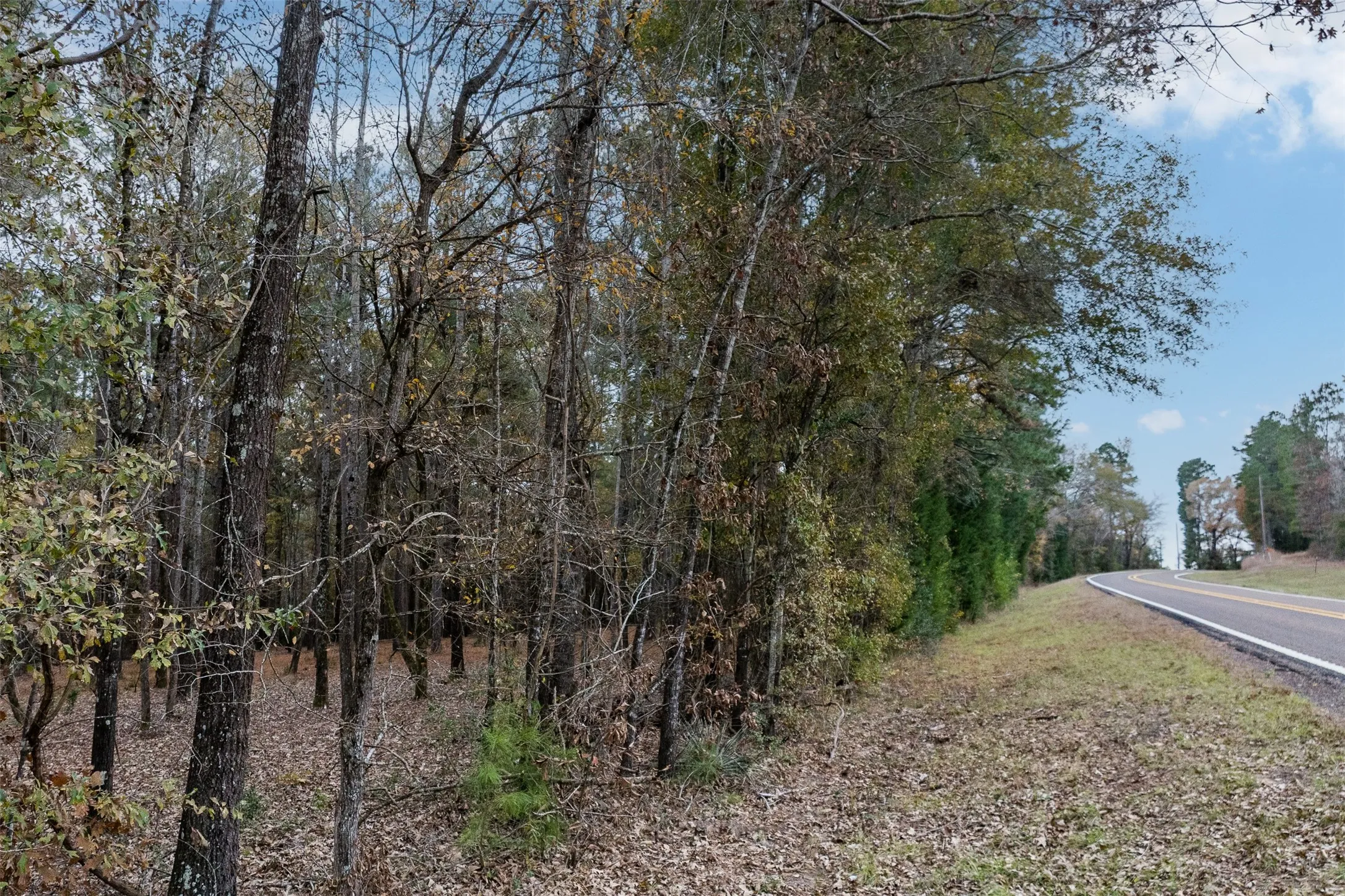 Unimproved Land For Sale in Anderson County , 14770 FM 315, Palestine, Texas 75803, 0, 0, Garage spaces, 0 Sqft, built in 0, Price $283,500, mls#21135116, Real Estate Agent in Palestine, Homes For Sale in Anderson county, Homes For Sale in Palestine, Realtor in Palestine Texas, Real Estate Brokerage Independent Realty Texas, Luminita Cordes Realtor