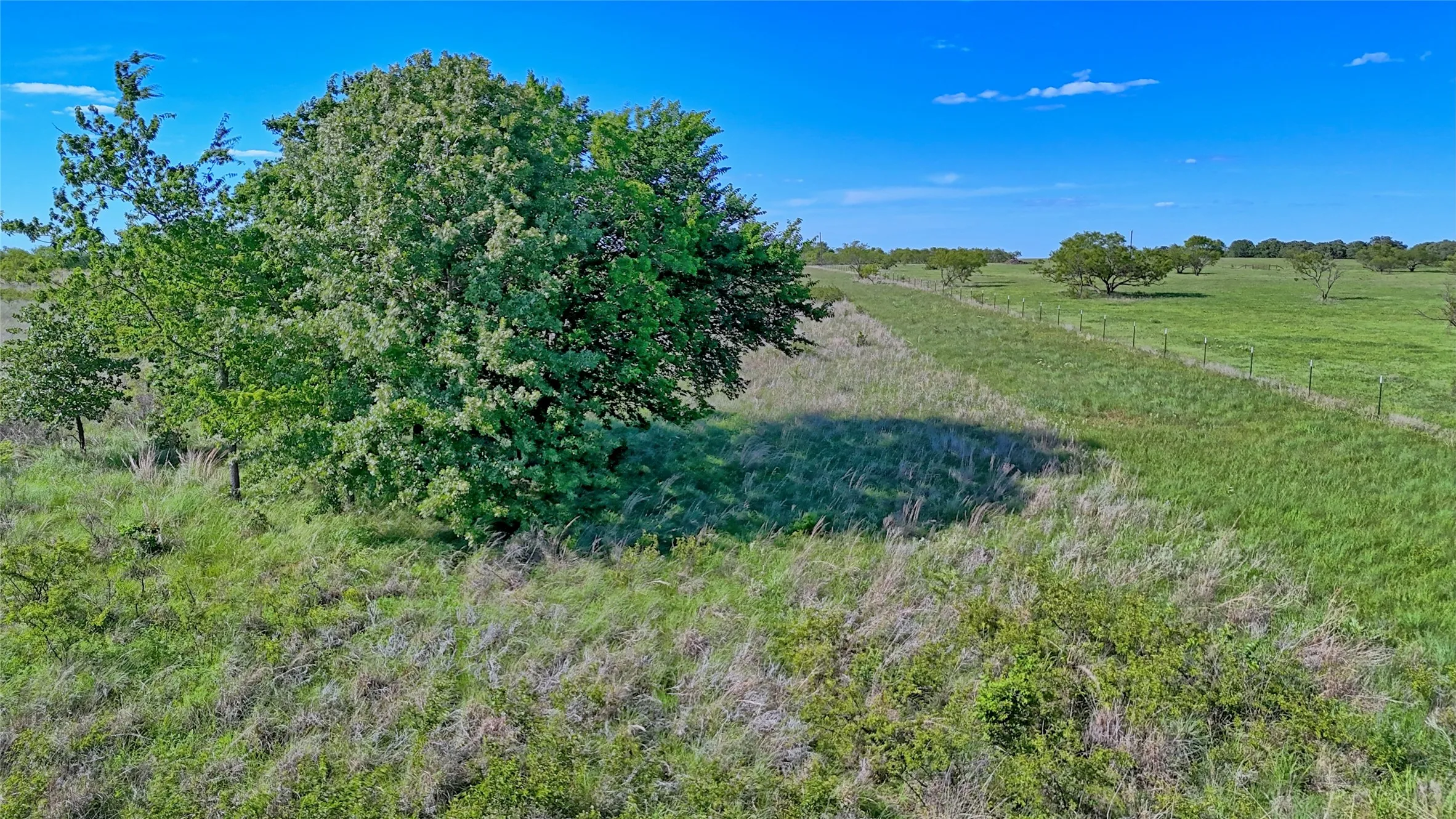 Unimproved Land For Sale in Montague County , 0000 Carpenter Road, Nocona, Texas 76255, 0, 0, Garage spaces, 0 Sqft, built in 0, Price $561,536, mls#21135528, Real Estate Agent in Nocona, Homes For Sale in Montague county, Homes For Sale in Nocona, Realtor in Nocona Texas, Real Estate Brokerage Independent Realty Texas, Luminita Cordes Realtor