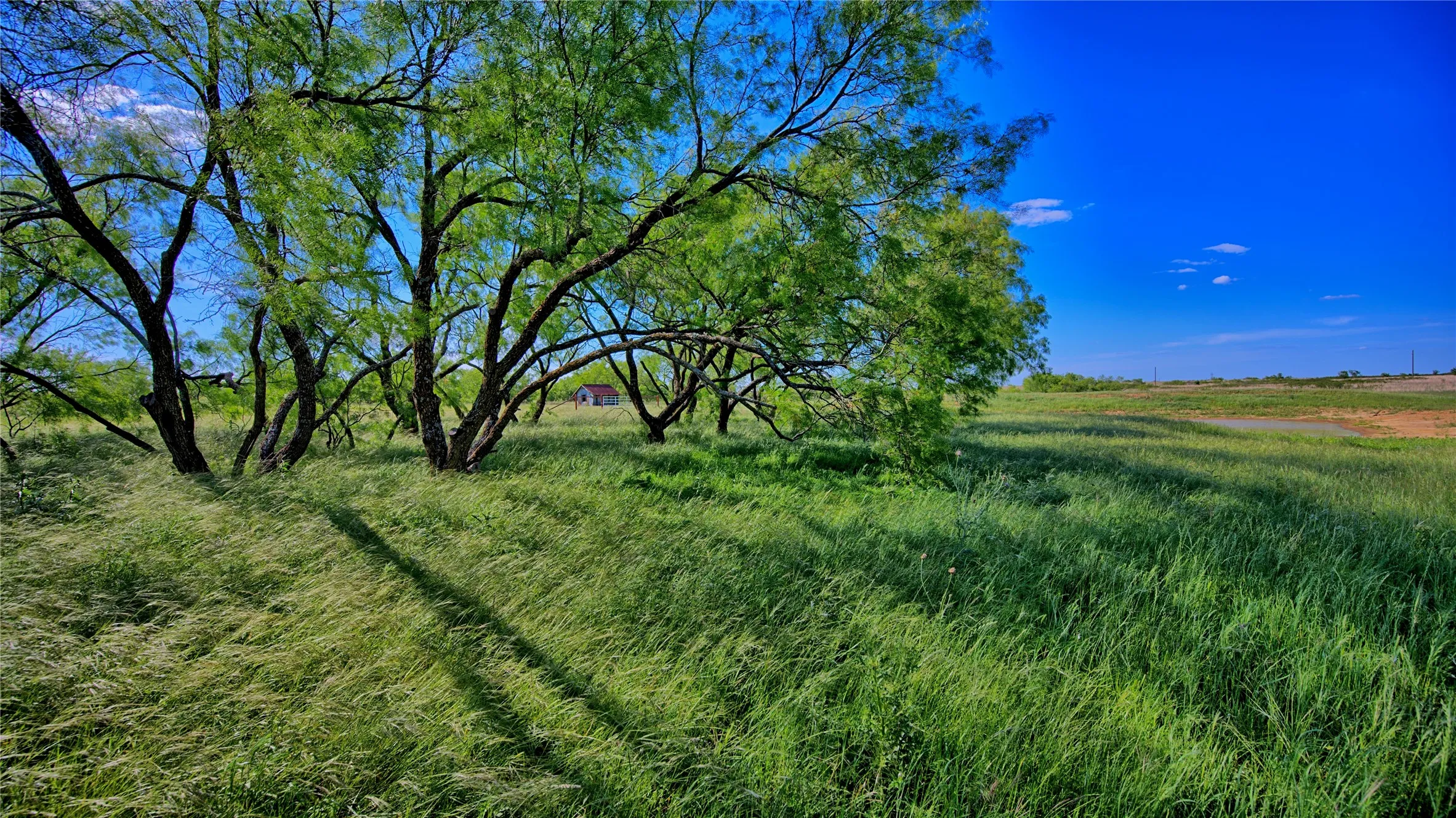 Unimproved Land For Sale in Montague County , 0000 Carpenter Road, Nocona, Texas 76255, 0, 0, Garage spaces, 0 Sqft, built in 0, Price $561,536, mls#21135528, Real Estate Agent in Nocona, Homes For Sale in Montague county, Homes For Sale in Nocona, Realtor in Nocona Texas, Real Estate Brokerage Independent Realty Texas, Luminita Cordes Realtor