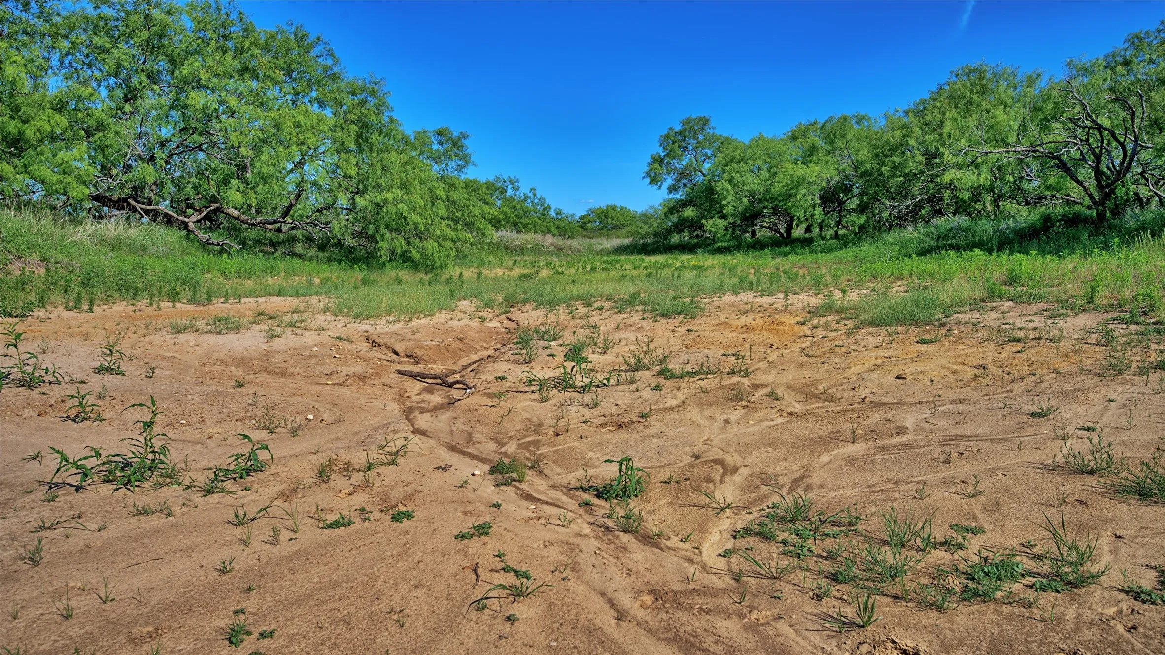 Unimproved Land For Sale in Montague County , 0000 Carpenter Road, Nocona, Texas 76255, 0, 0, Garage spaces, 0 Sqft, built in 0, Price $561,536, mls#21135528, Real Estate Agent in Nocona, Homes For Sale in Montague county, Homes For Sale in Nocona, Realtor in Nocona Texas, Real Estate Brokerage Independent Realty Texas, Luminita Cordes Realtor