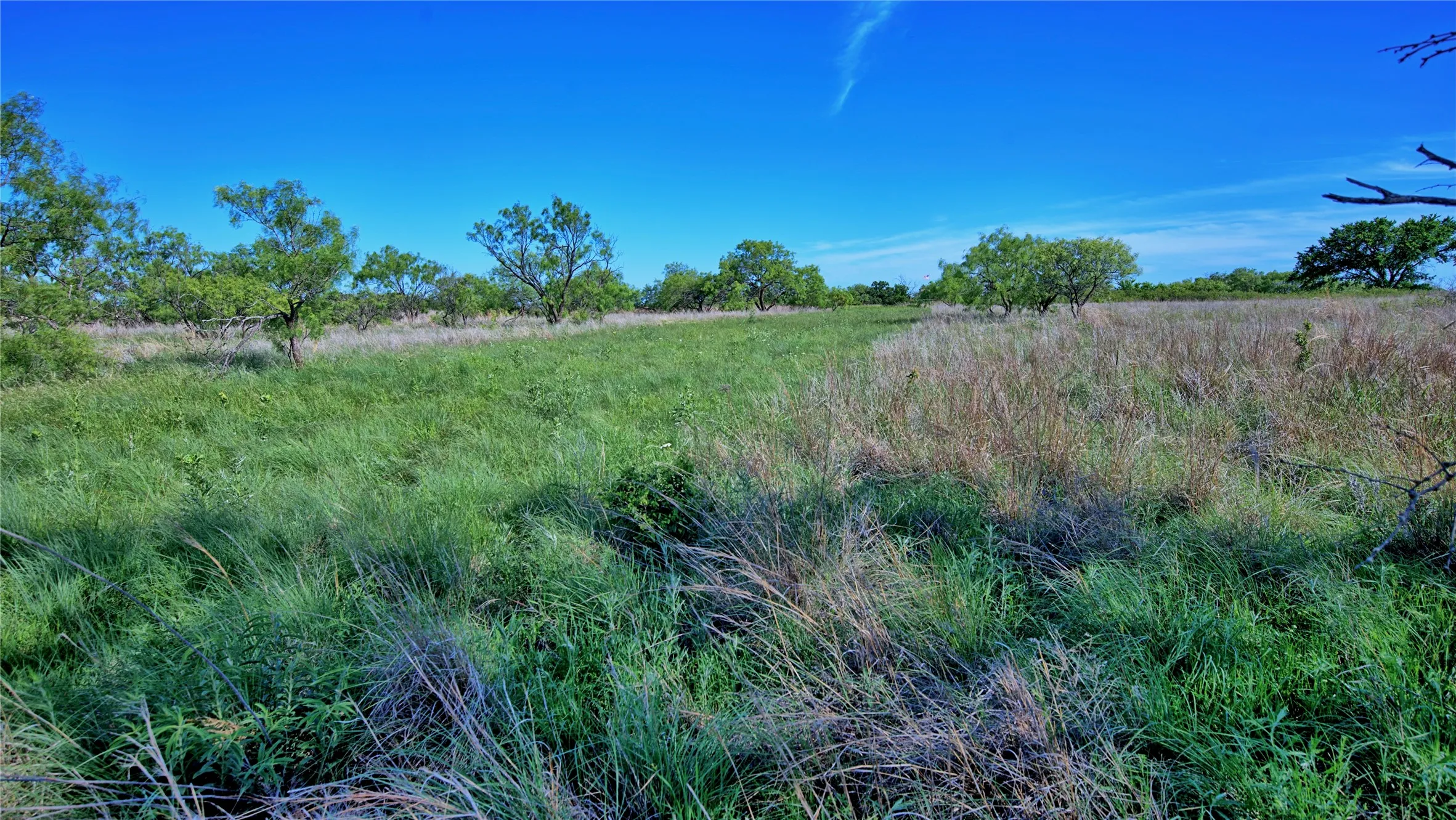 Unimproved Land For Sale in Montague County , 0000 Carpenter Road, Nocona, Texas 76255, 0, 0, Garage spaces, 0 Sqft, built in 0, Price $561,536, mls#21135528, Real Estate Agent in Nocona, Homes For Sale in Montague county, Homes For Sale in Nocona, Realtor in Nocona Texas, Real Estate Brokerage Independent Realty Texas, Luminita Cordes Realtor