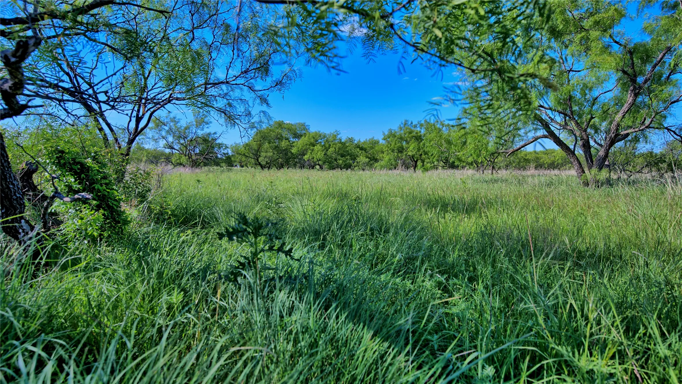 Unimproved Land For Sale in Montague County , 0000 Carpenter Road, Nocona, Texas 76255, 0, 0, Garage spaces, 0 Sqft, built in 0, Price $561,536, mls#21135528, Real Estate Agent in Nocona, Homes For Sale in Montague county, Homes For Sale in Nocona, Realtor in Nocona Texas, Real Estate Brokerage Independent Realty Texas, Luminita Cordes Realtor