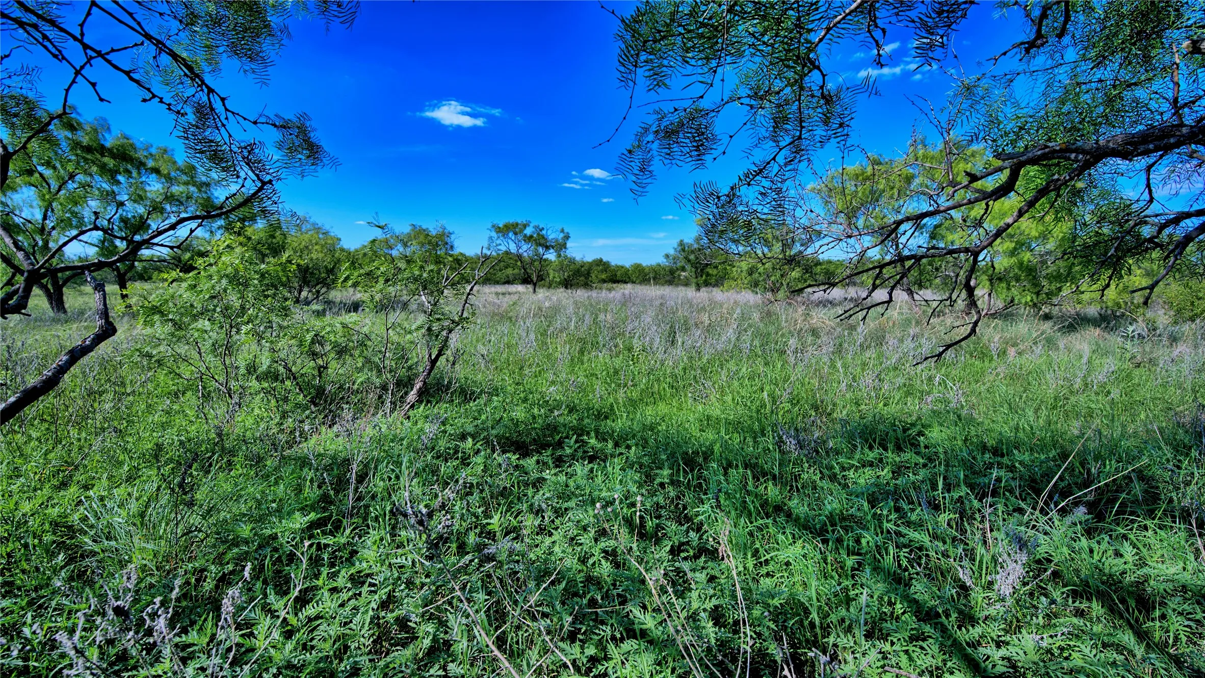 Unimproved Land For Sale in Montague County , 0000 Carpenter Road, Nocona, Texas 76255, 0, 0, Garage spaces, 0 Sqft, built in 0, Price $561,536, mls#21135528, Real Estate Agent in Nocona, Homes For Sale in Montague county, Homes For Sale in Nocona, Realtor in Nocona Texas, Real Estate Brokerage Independent Realty Texas, Luminita Cordes Realtor
