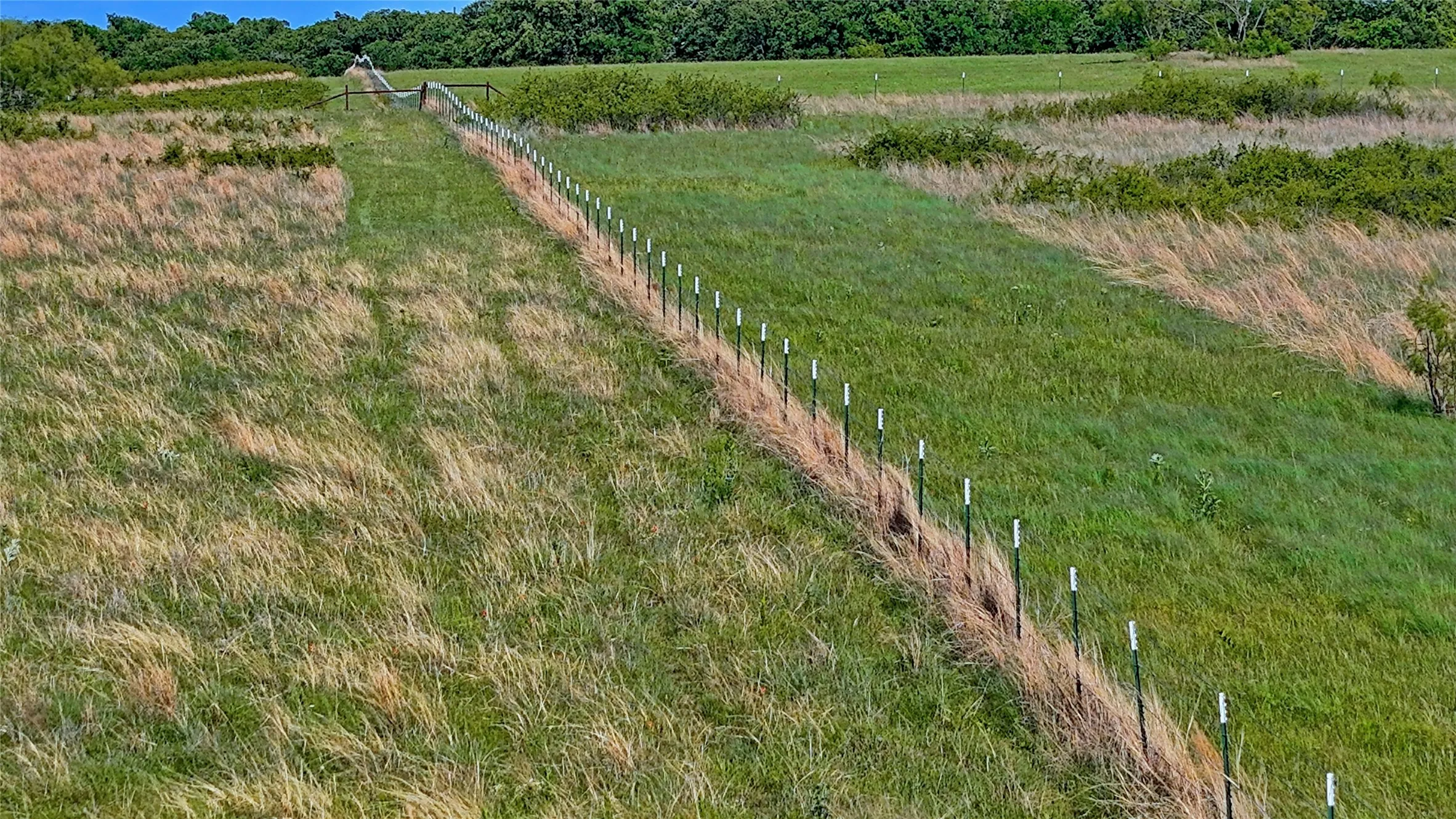Unimproved Land For Sale in Montague County , 0000 Carpenter Road, Nocona, Texas 76255, 0, 0, Garage spaces, 0 Sqft, built in 0, Price $561,536, mls#21135528, Real Estate Agent in Nocona, Homes For Sale in Montague county, Homes For Sale in Nocona, Realtor in Nocona Texas, Real Estate Brokerage Independent Realty Texas, Luminita Cordes Realtor