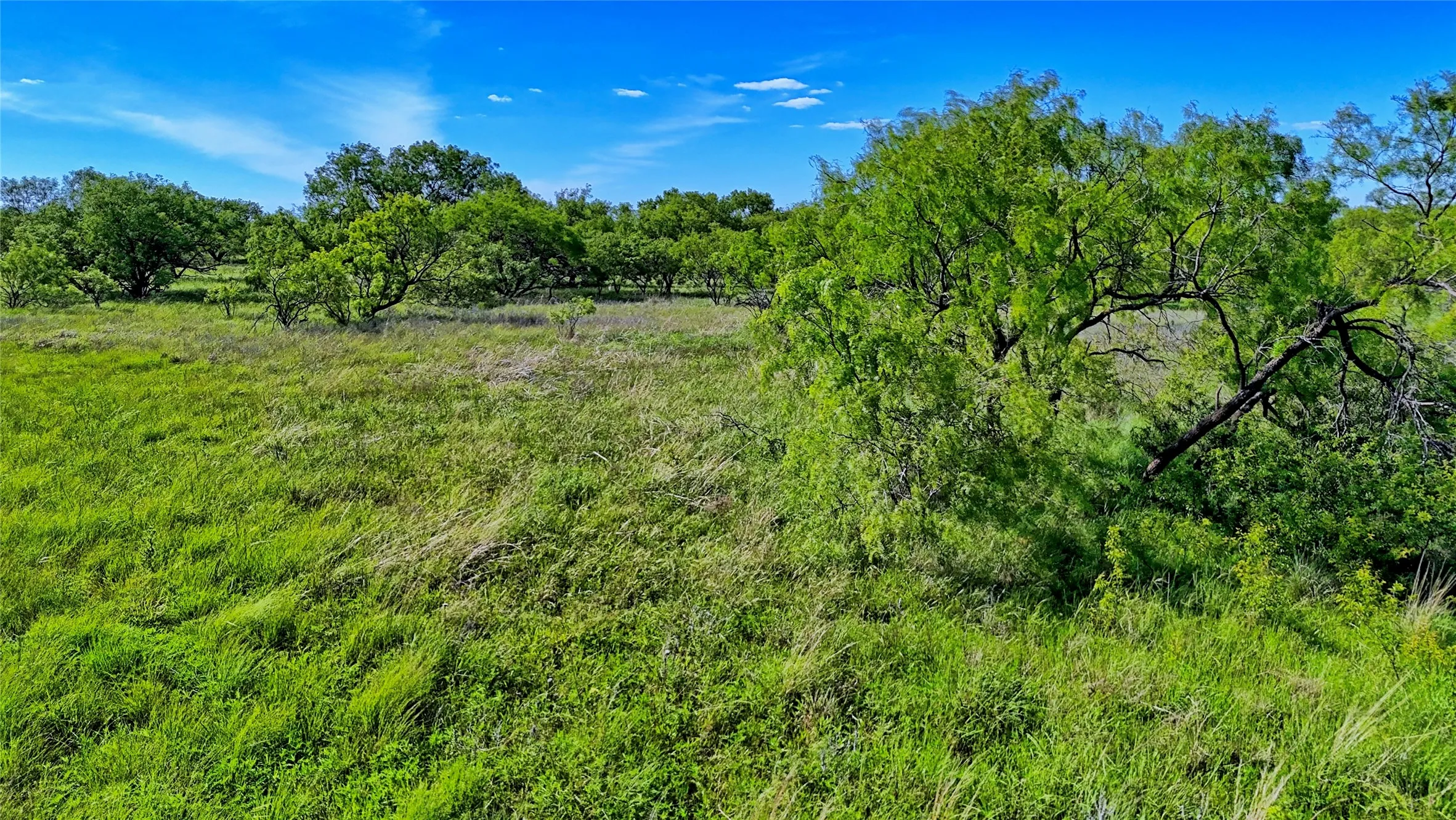 Unimproved Land For Sale in Montague County , 0000 Carpenter Road, Nocona, Texas 76255, 0, 0, Garage spaces, 0 Sqft, built in 0, Price $561,536, mls#21135528, Real Estate Agent in Nocona, Homes For Sale in Montague county, Homes For Sale in Nocona, Realtor in Nocona Texas, Real Estate Brokerage Independent Realty Texas, Luminita Cordes Realtor