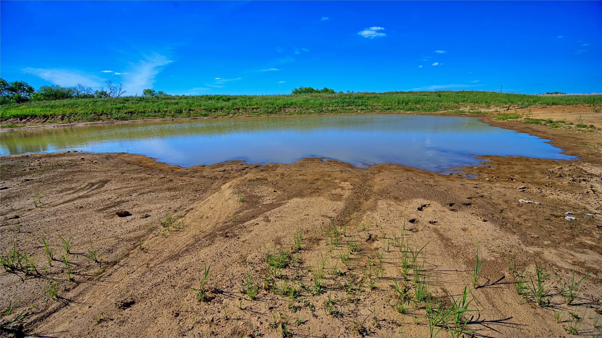Unimproved Land For Sale in Montague County , 0000 Carpenter Road, Nocona, Texas 76255, 0, 0, Garage spaces, 0 Sqft, built in 0, Price $561,536, mls#21135528, Real Estate Agent in Nocona, Homes For Sale in Montague county, Homes For Sale in Nocona, Realtor in Nocona Texas, Real Estate Brokerage Independent Realty Texas, Luminita Cordes Realtor