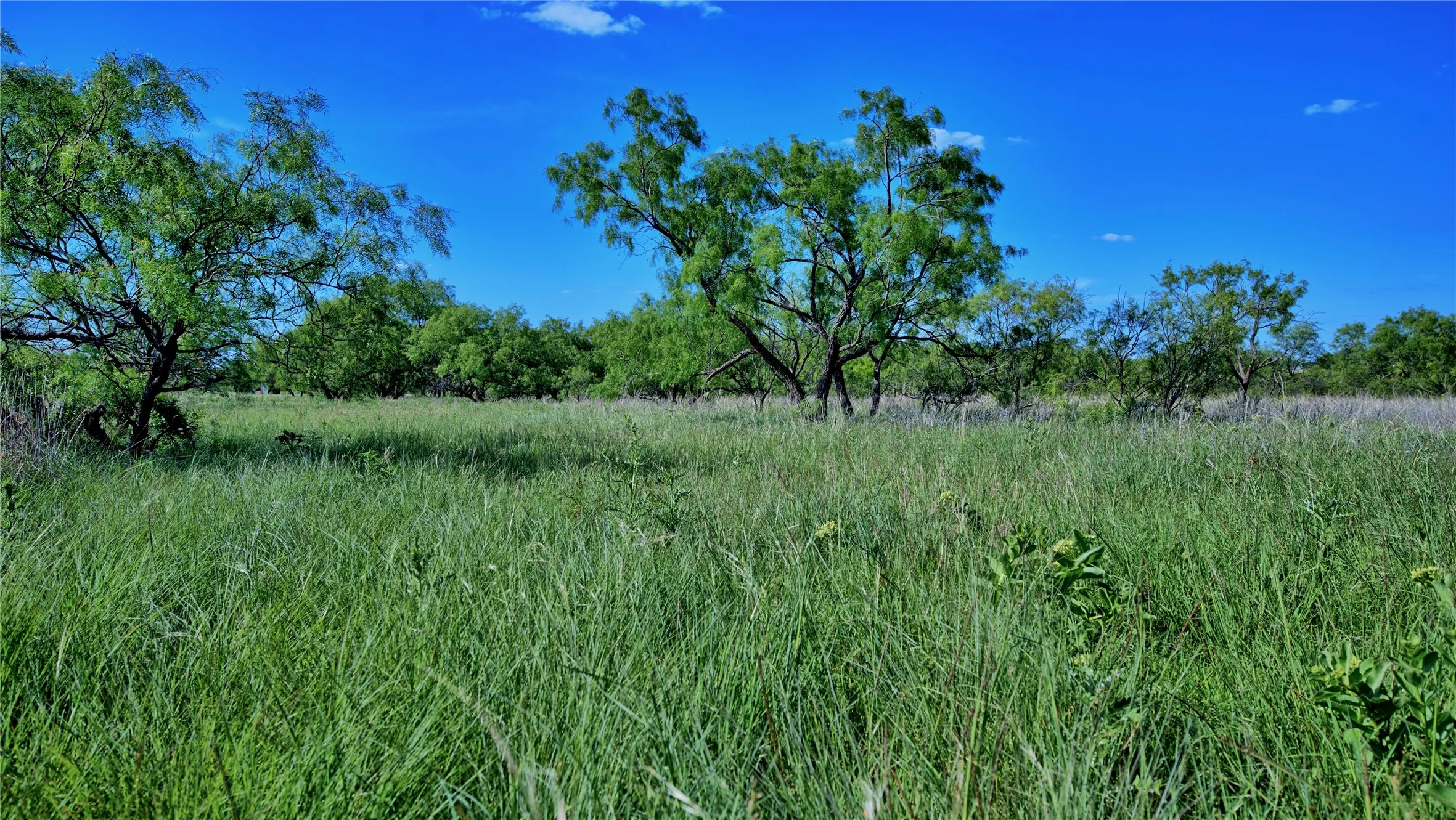 Unimproved Land For Sale in Montague County , 0000 Carpenter Road, Nocona, Texas 76255, 0, 0, Garage spaces, 0 Sqft, built in 0, Price $561,536, mls#21135528, Real Estate Agent in Nocona, Homes For Sale in Montague county, Homes For Sale in Nocona, Realtor in Nocona Texas, Real Estate Brokerage Independent Realty Texas, Luminita Cordes Realtor