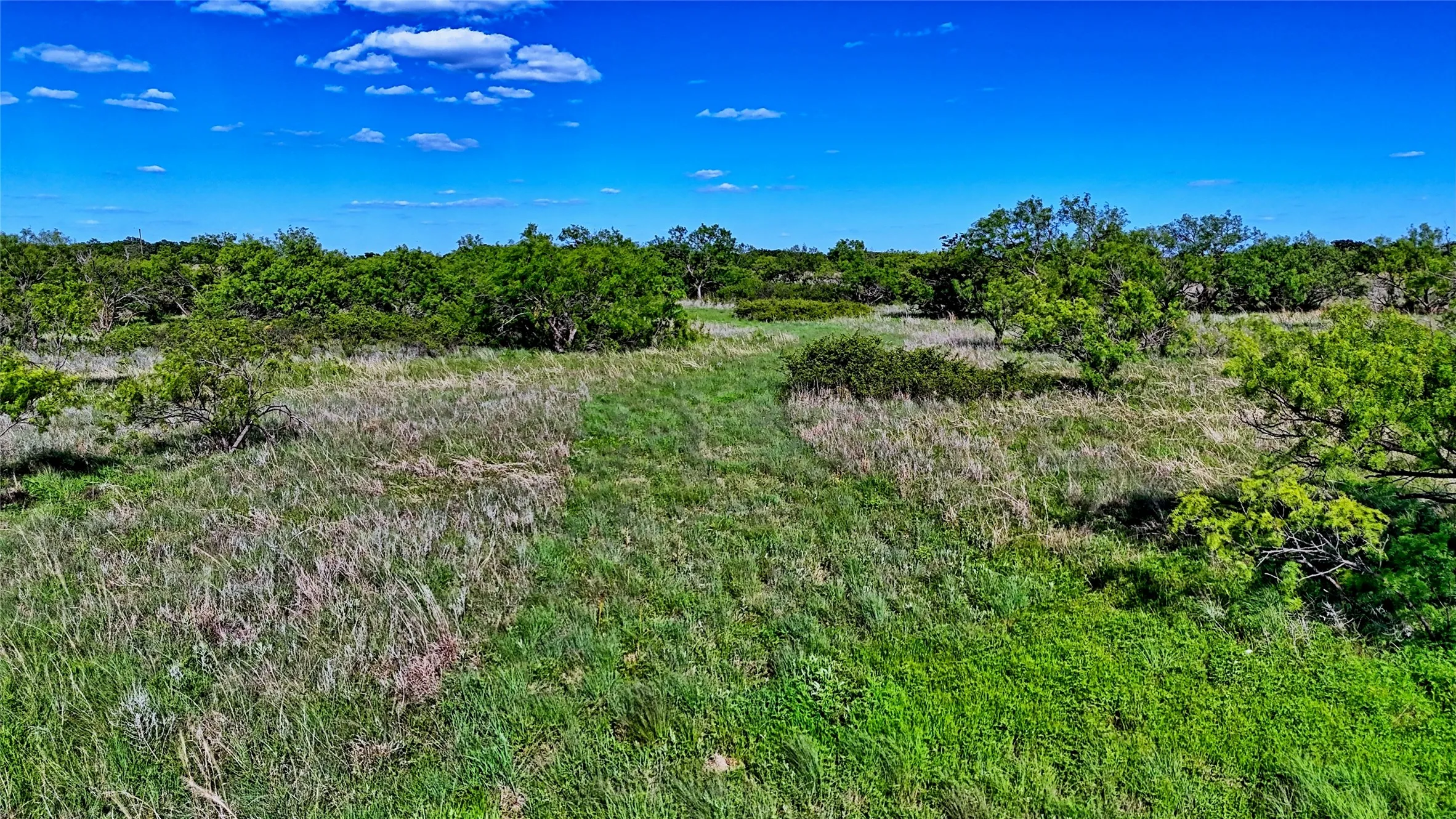 Unimproved Land For Sale in Montague County , 0000 Carpenter Road, Nocona, Texas 76255, 0, 0, Garage spaces, 0 Sqft, built in 0, Price $561,536, mls#21135528, Real Estate Agent in Nocona, Homes For Sale in Montague county, Homes For Sale in Nocona, Realtor in Nocona Texas, Real Estate Brokerage Independent Realty Texas, Luminita Cordes Realtor