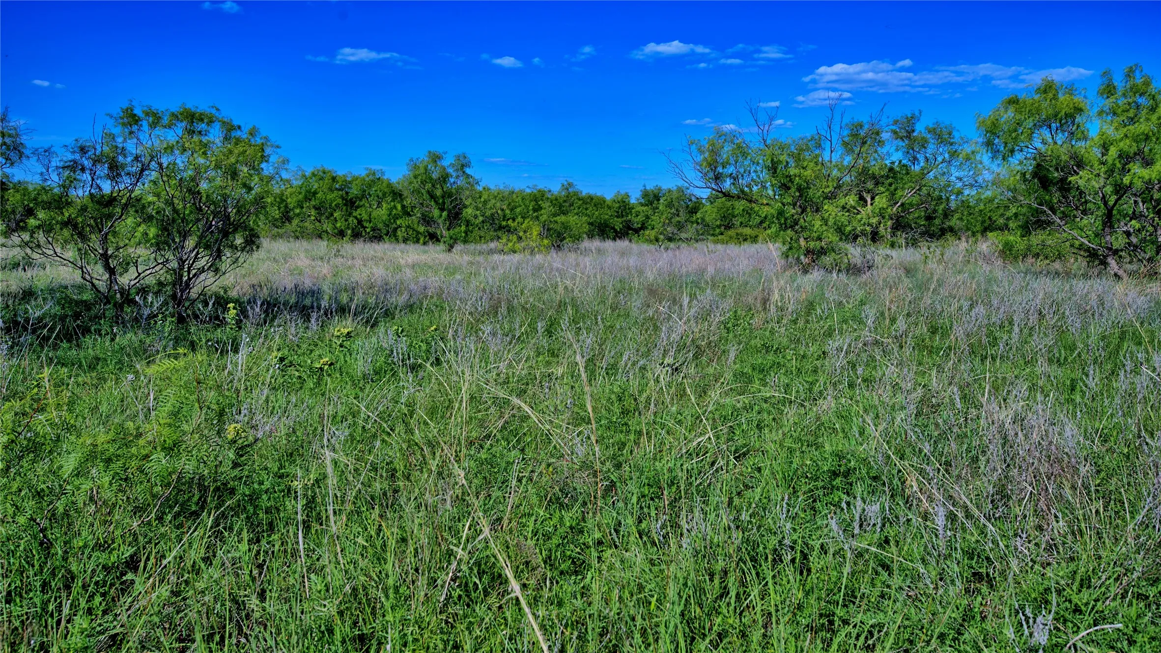 Unimproved Land For Sale in Montague County , 0000 Carpenter Road, Nocona, Texas 76255, 0, 0, Garage spaces, 0 Sqft, built in 0, Price $561,536, mls#21135528, Real Estate Agent in Nocona, Homes For Sale in Montague county, Homes For Sale in Nocona, Realtor in Nocona Texas, Real Estate Brokerage Independent Realty Texas, Luminita Cordes Realtor
