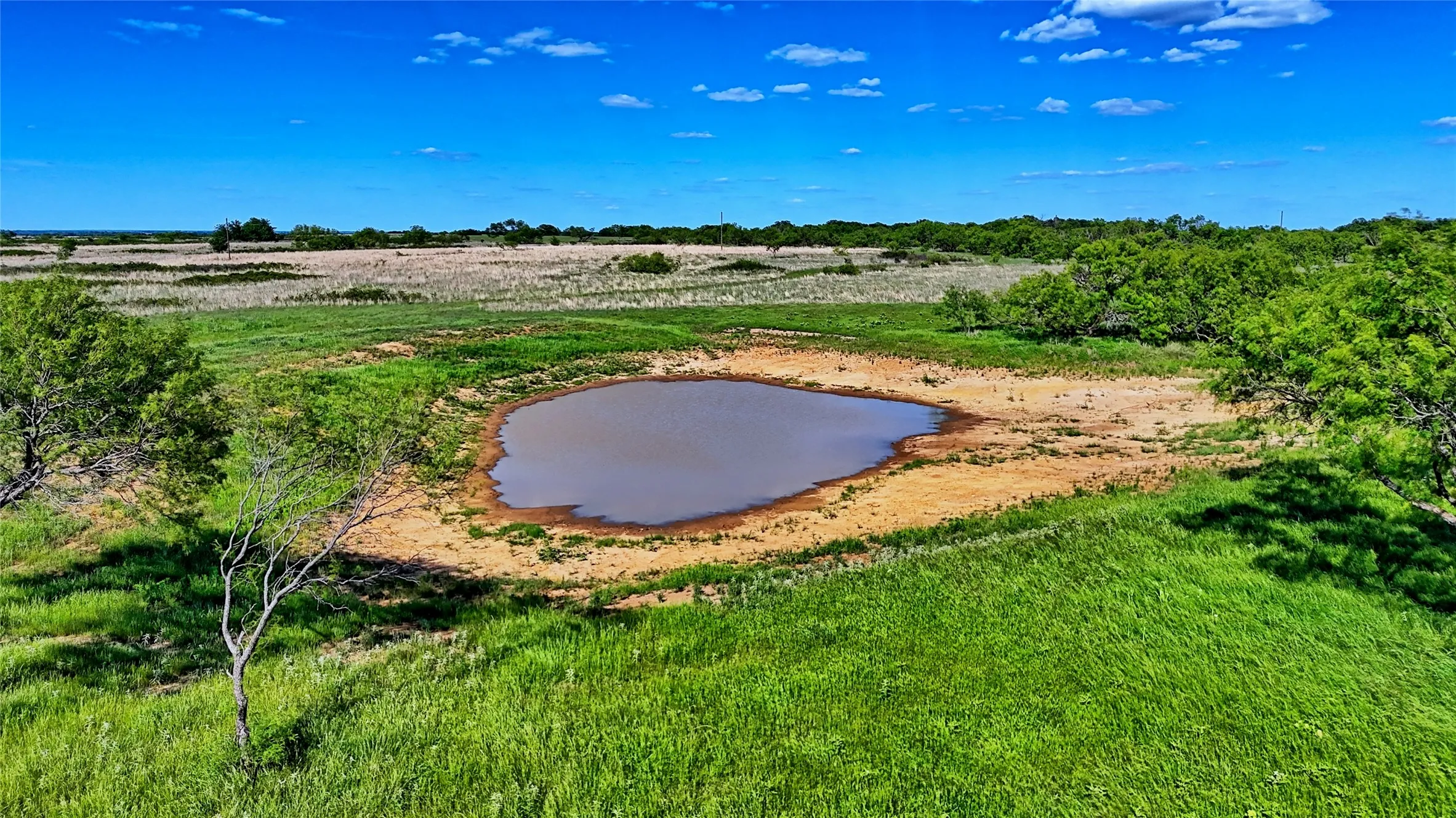 Unimproved Land For Sale in Montague County , 0000 Carpenter Road, Nocona, Texas 76255, 0, 0, Garage spaces, 0 Sqft, built in 0, Price $561,536, mls#21135528, Real Estate Agent in Nocona, Homes For Sale in Montague county, Homes For Sale in Nocona, Realtor in Nocona Texas, Real Estate Brokerage Independent Realty Texas, Luminita Cordes Realtor