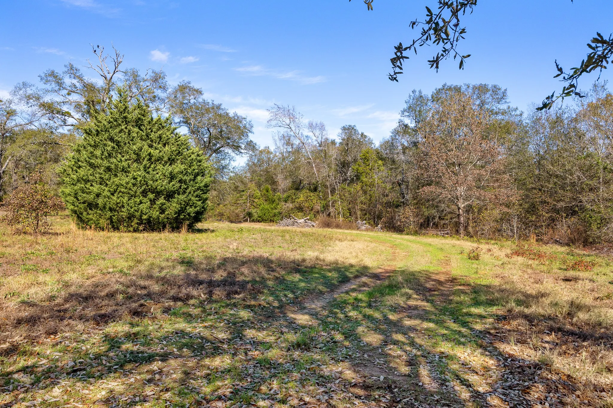 Unimproved Land For Sale in Smith County , 24142 Interstate 20 W, Lindale, Texas 75771, 0, 0, Garage spaces, 0 Sqft, built in 0, Unknown, mls#21135843, Real Estate Agent in Lindale, Homes For Sale in Smith county, Homes For Sale in Lindale, Realtor in Lindale Texas, Real Estate Brokerage Independent Realty Texas, Luminita Cordes Realtor