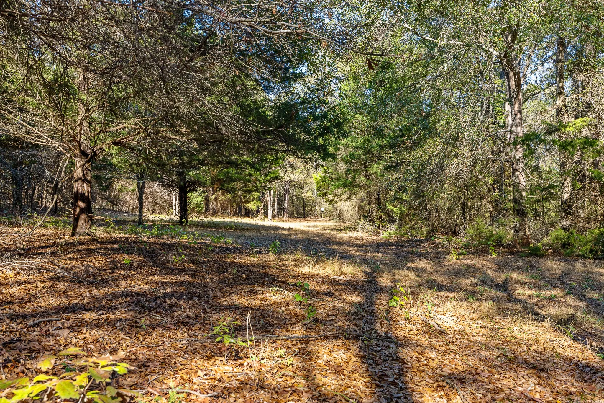 Unimproved Land For Sale in Smith County , 24142 Interstate 20 W, Lindale, Texas 75771, 0, 0, Garage spaces, 0 Sqft, built in 0, Unknown, mls#21135843, Real Estate Agent in Lindale, Homes For Sale in Smith county, Homes For Sale in Lindale, Realtor in Lindale Texas, Real Estate Brokerage Independent Realty Texas, Luminita Cordes Realtor