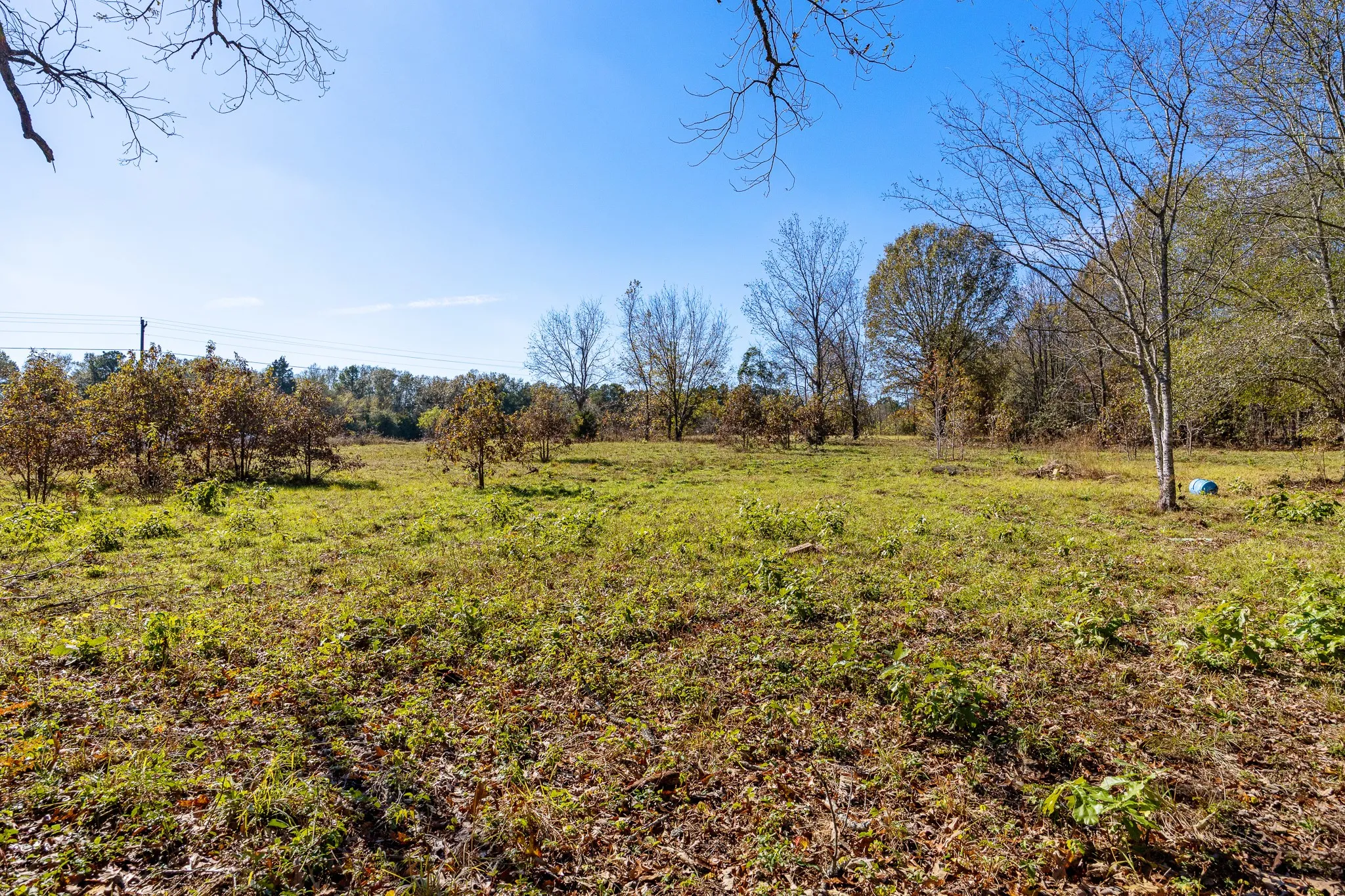 Unimproved Land For Sale in Smith County , 24142 Interstate 20 W, Lindale, Texas 75771, 0, 0, Garage spaces, 0 Sqft, built in 0, Unknown, mls#21135843, Real Estate Agent in Lindale, Homes For Sale in Smith county, Homes For Sale in Lindale, Realtor in Lindale Texas, Real Estate Brokerage Independent Realty Texas, Luminita Cordes Realtor