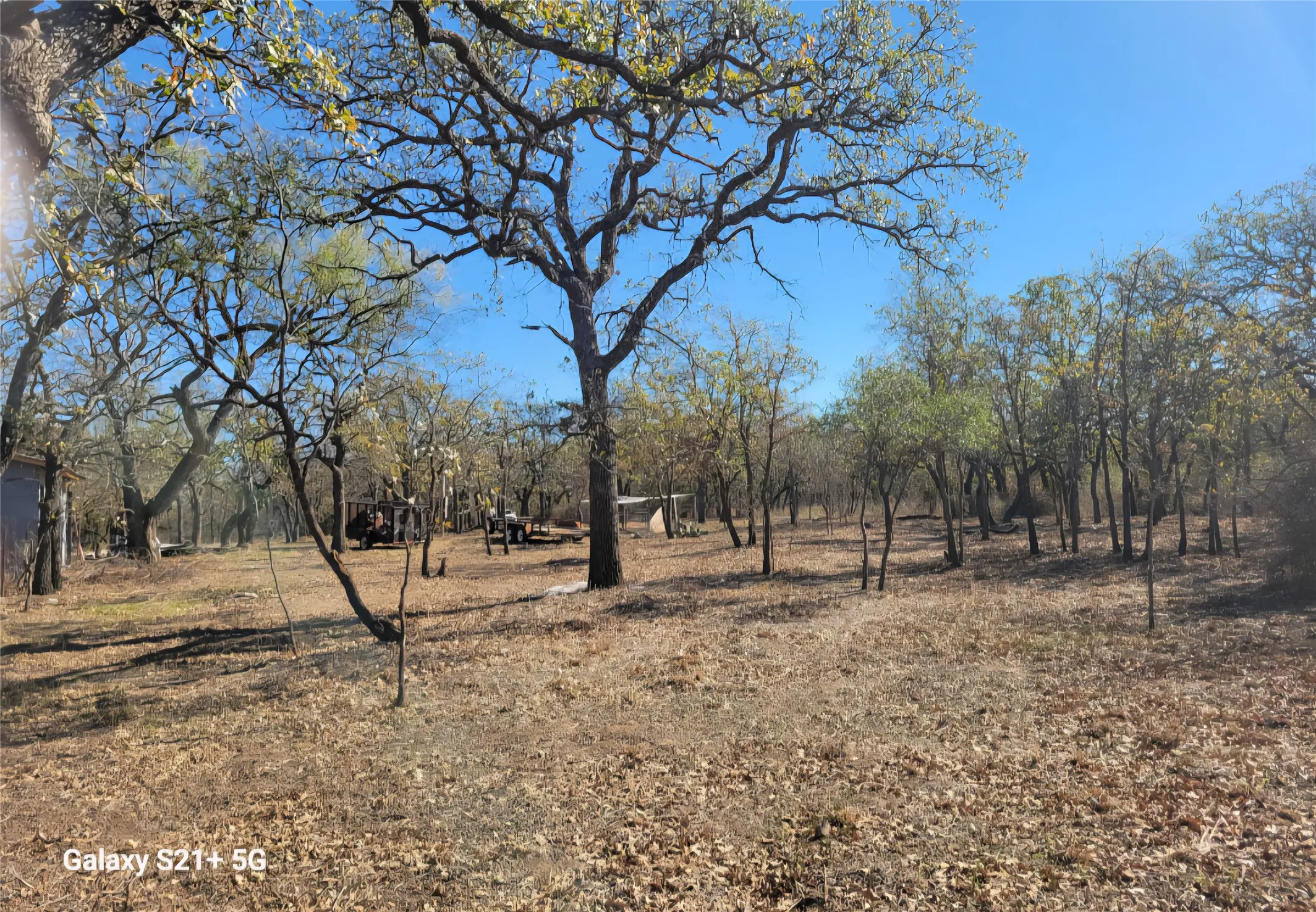 Single Family Residence For Sale in Brown County , 509 County Road 143, Bangs, Texas 76823, 3 Bedroom, 2 Bathroom, Garage spaces, 1,400 Sqft, built in 1900, Unknown, mls#21133458, Real Estate Agent in Bangs, Homes For Sale in Brown county, Homes For Sale in Bangs, Realtor in Bangs Texas, Real Estate Brokerage Independent Realty Texas, Luminita Cordes Realtor