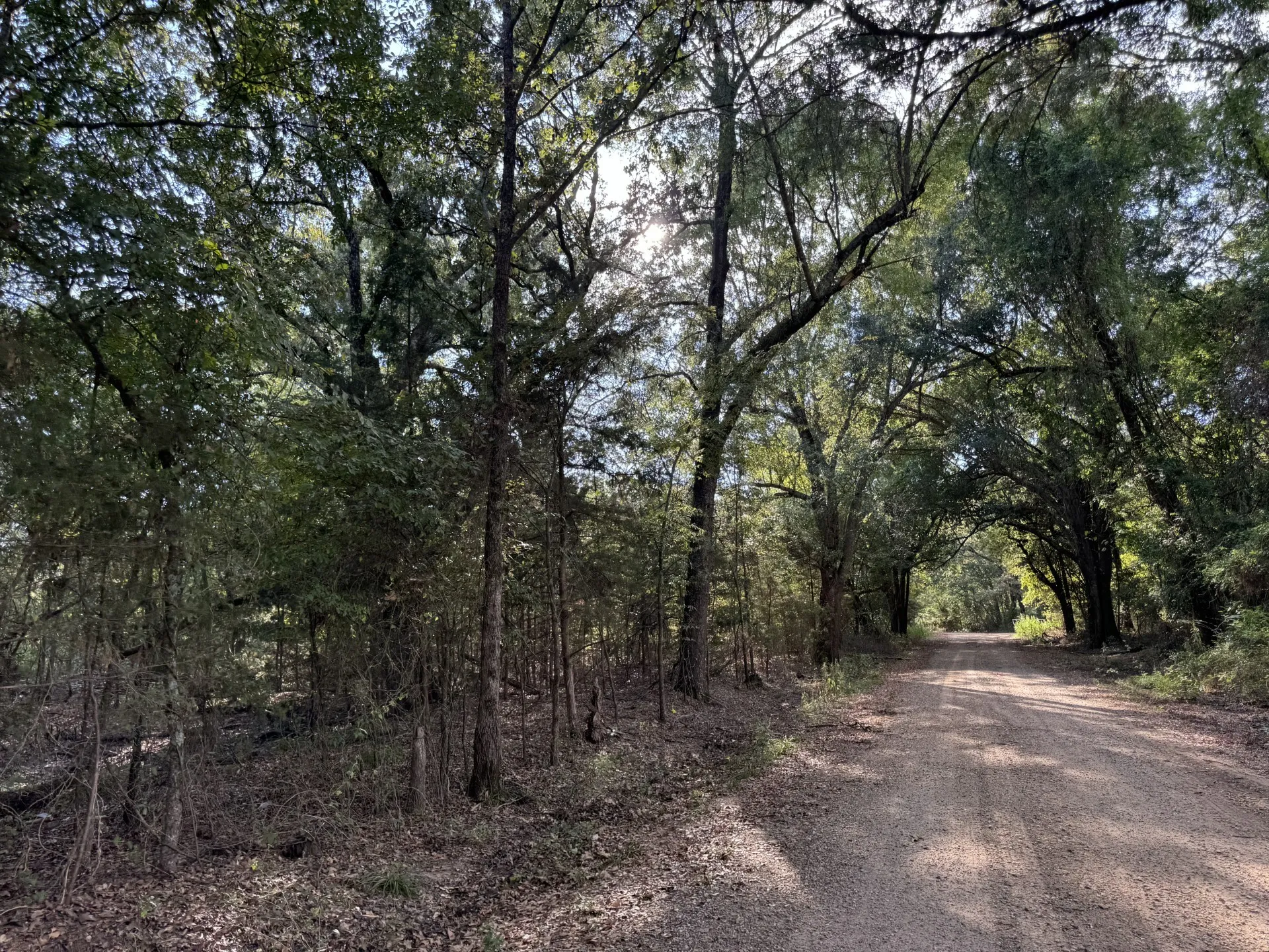 Single Family Residence For Sale in Red River (TX) County , 137 CR 2362, Bagwell, Texas 75412, 4 Bedroom, 2 Bathroom, Garage spaces, 2,027 Sqft, built in 1945, mls#21135926, Real Estate Agent in Bagwell, Homes For Sale in Red River (TX) county, Homes For Sale in Bagwell, Realtor in Bagwell Texas, Real Estate Brokerage Independent Realty Texas, Luminita Cordes Realtor