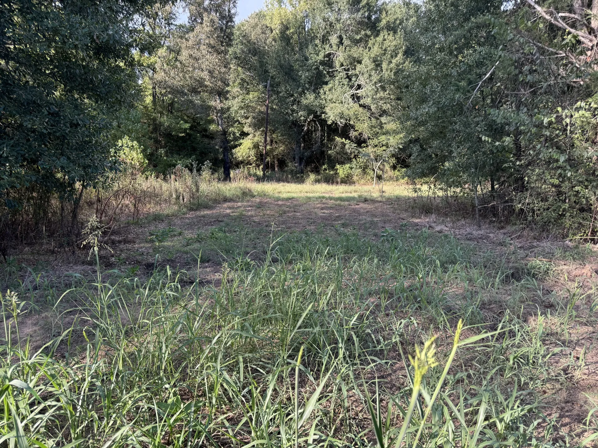 Single Family Residence For Sale in Red River (TX) County , 137 CR 2362, Bagwell, Texas 75412, 4 Bedroom, 2 Bathroom, Garage spaces, 2,027 Sqft, built in 1945, mls#21135926, Real Estate Agent in Bagwell, Homes For Sale in Red River (TX) county, Homes For Sale in Bagwell, Realtor in Bagwell Texas, Real Estate Brokerage Independent Realty Texas, Luminita Cordes Realtor