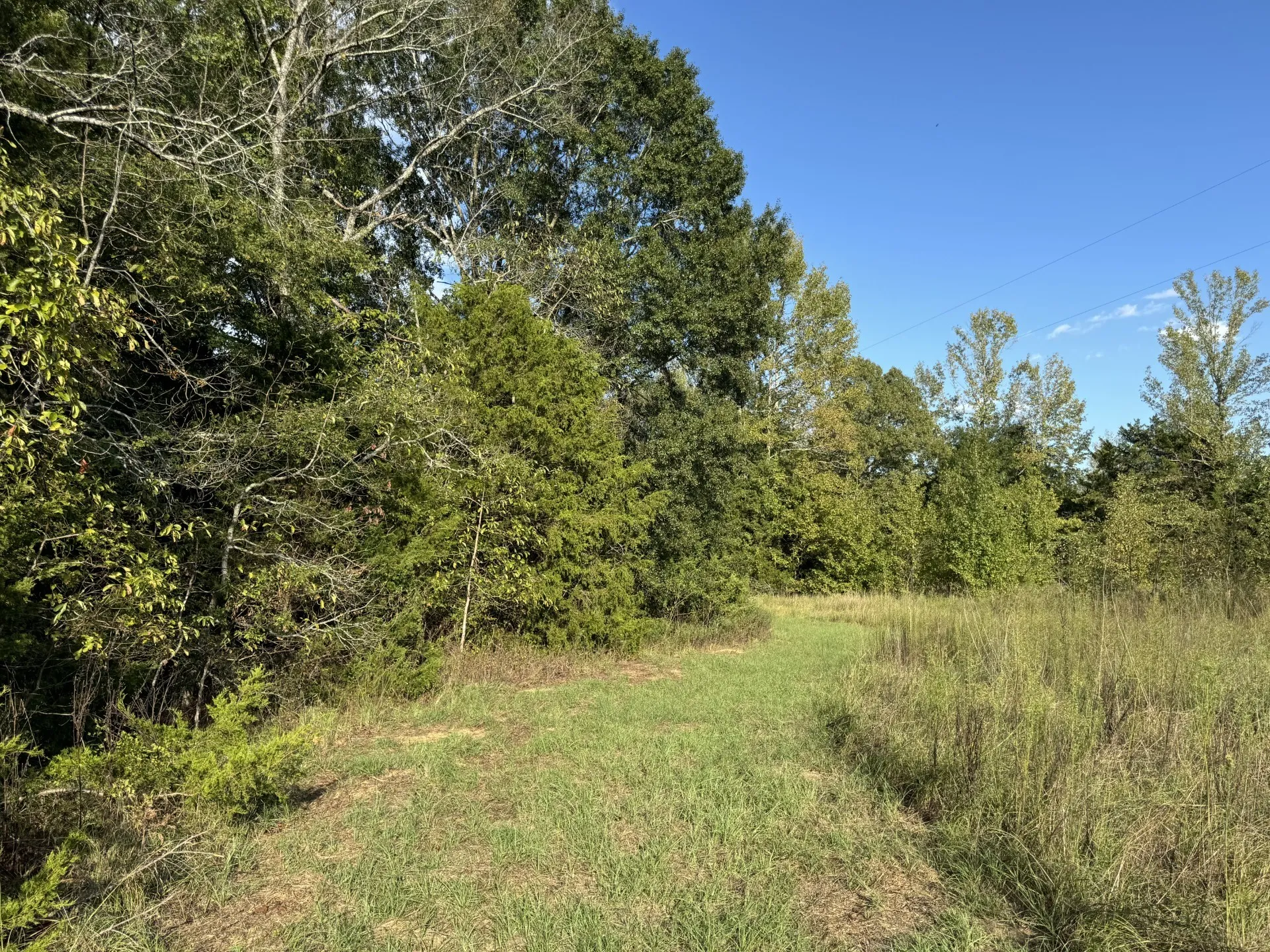 Single Family Residence For Sale in Red River (TX) County , 137 CR 2362, Bagwell, Texas 75412, 4 Bedroom, 2 Bathroom, Garage spaces, 2,027 Sqft, built in 1945, mls#21135926, Real Estate Agent in Bagwell, Homes For Sale in Red River (TX) county, Homes For Sale in Bagwell, Realtor in Bagwell Texas, Real Estate Brokerage Independent Realty Texas, Luminita Cordes Realtor