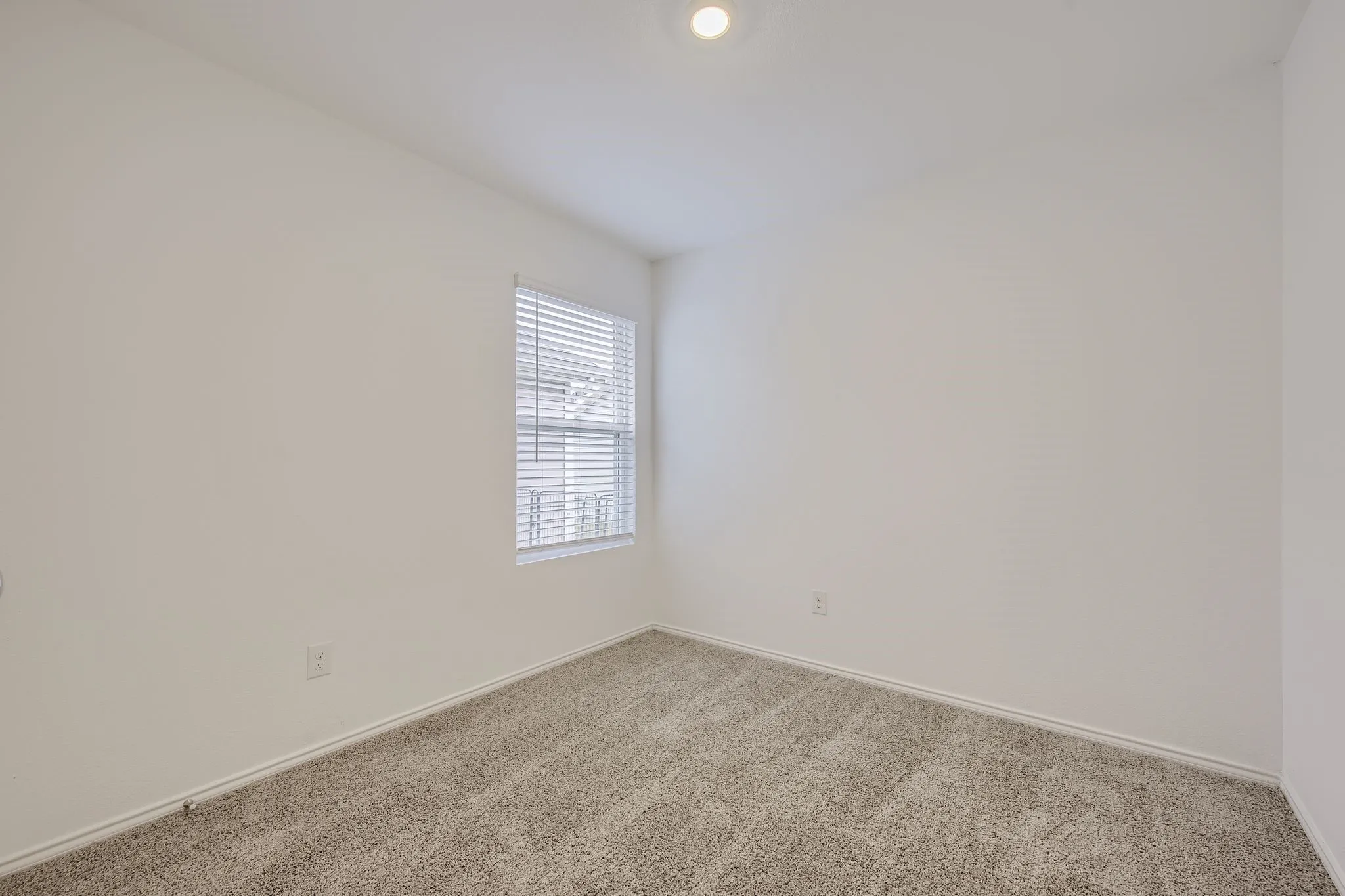 Carpeted secondary bedroom