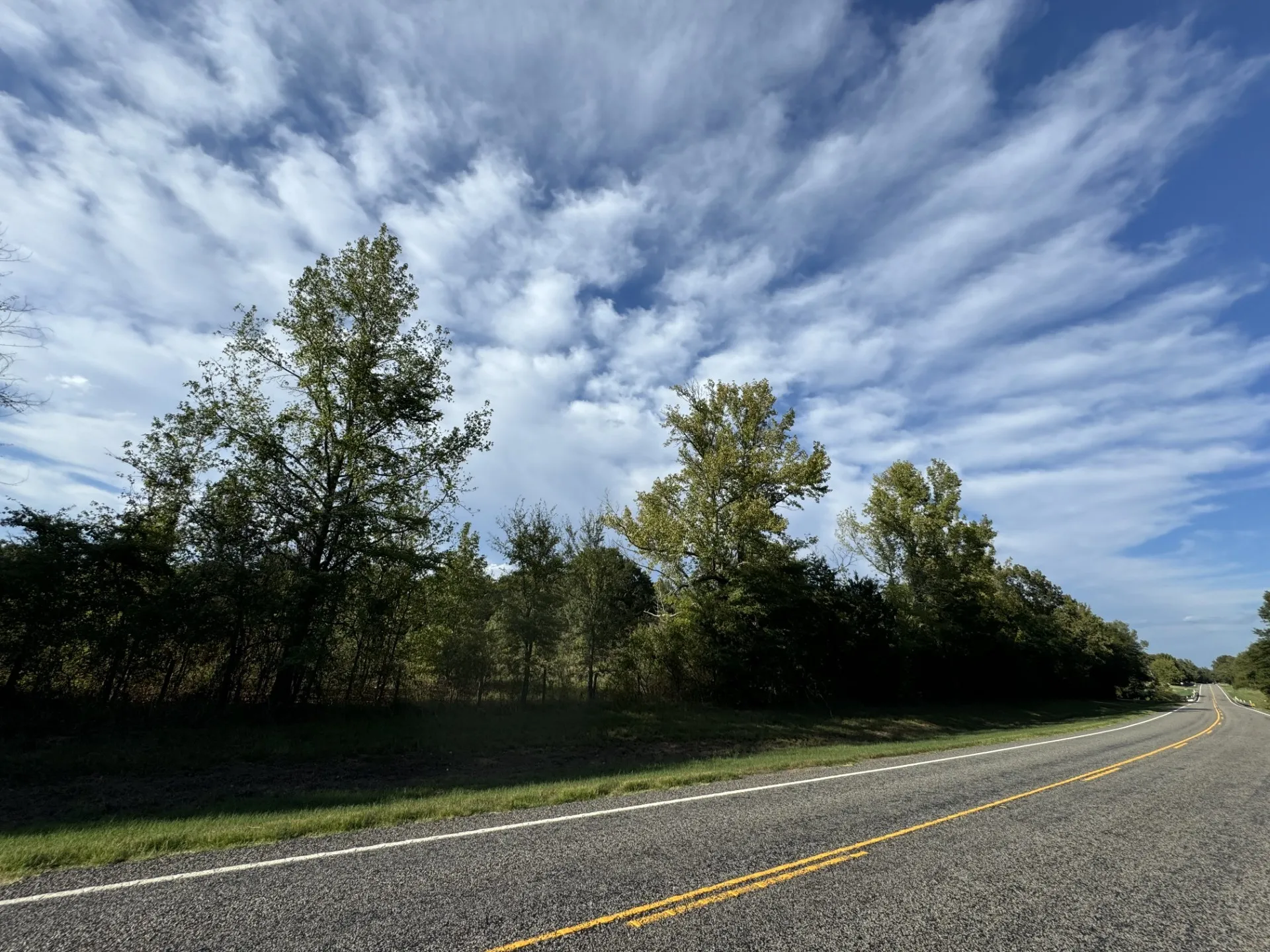 Unimproved Land For Sale in Red River (TX) County , TBD FM 195, Bagwell, Texas 75412, 0, 0, Garage spaces, 0 Sqft, built in 0, mls#21136072, Real Estate Agent in Bagwell, Homes For Sale in Red River (TX) county, Homes For Sale in Bagwell, Realtor in Bagwell Texas, Real Estate Brokerage Independent Realty Texas, Luminita Cordes Realtor