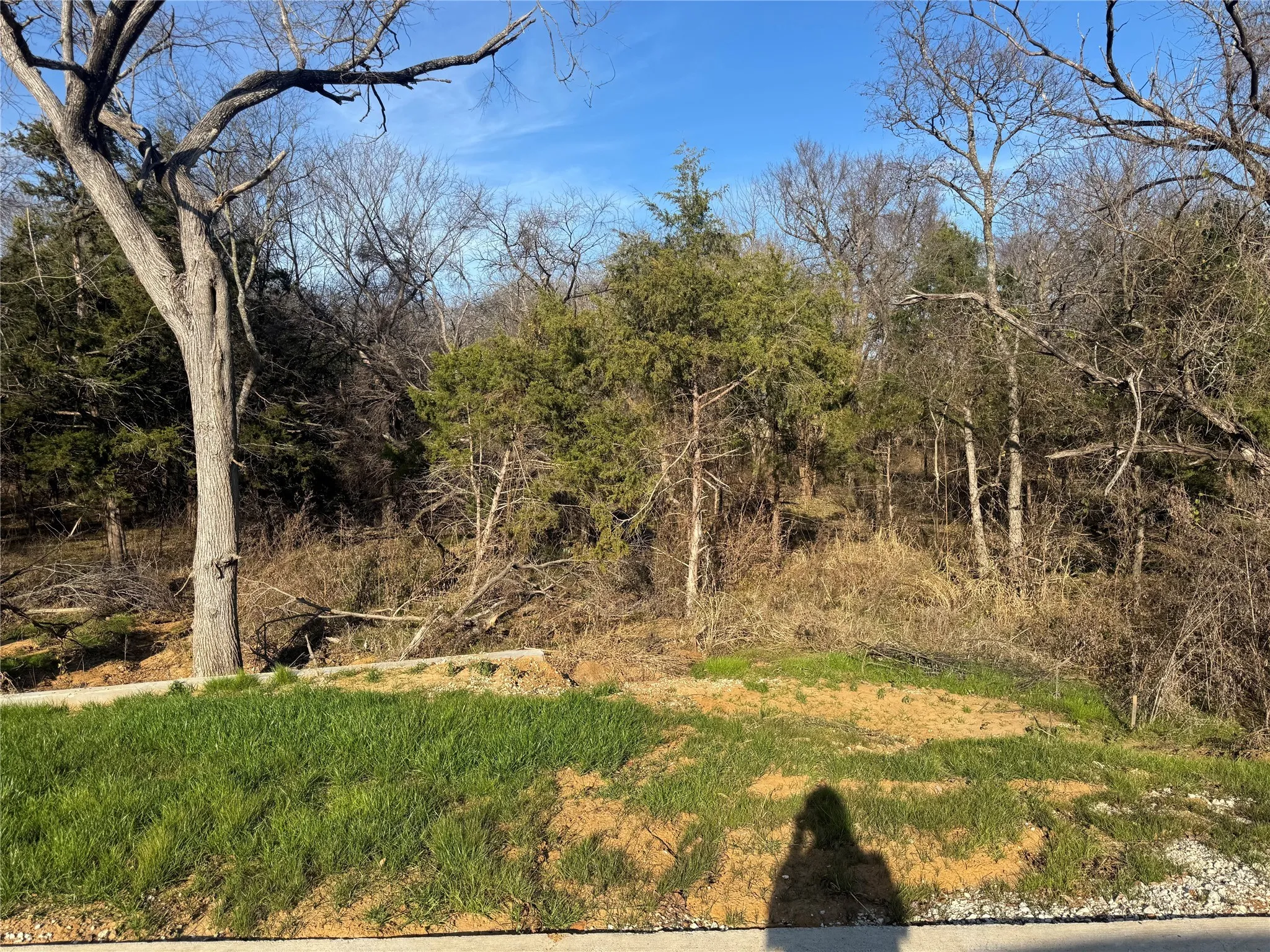 Unimproved Land For Sale in Grayson County , Lot 96 Castlewood Street, Gordonville, Texas 76245, 0, 0, Garage spaces, 0 Sqft, built in 0, Price $59,900, mls#21136124, Real Estate Agent in Gordonville, Homes For Sale in Grayson county, Homes For Sale in Gordonville, Realtor in Gordonville Texas, Real Estate Brokerage Independent Realty Texas, Luminita Cordes Realtor