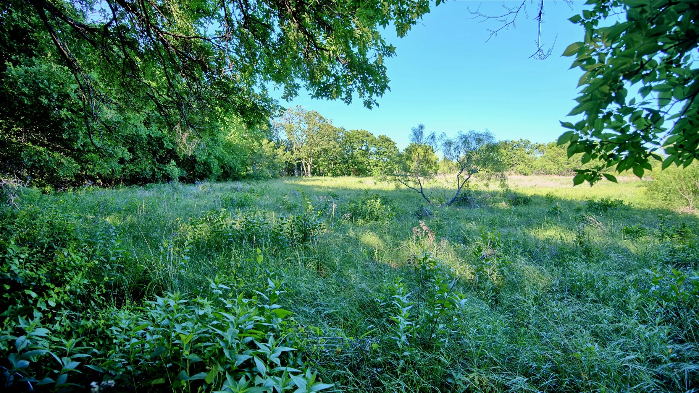 Unimproved Land For Sale in Montague County , 0000 Carpenter, Nocona, Texas 76255, 0, 0, Garage spaces, 0 Sqft, built in 0, Price $392,350, mls#21135583, Real Estate Agent in Nocona, Homes For Sale in Montague county, Homes For Sale in Nocona, Realtor in Nocona Texas, Real Estate Brokerage Independent Realty Texas, Luminita Cordes Realtor