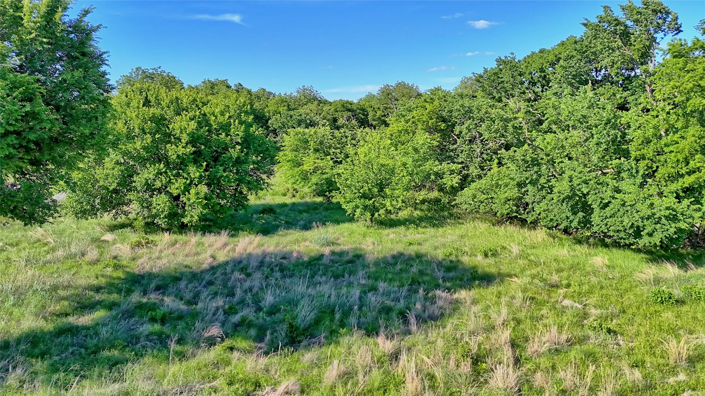 Unimproved Land For Sale in Montague County , 0000 Carpenter, Nocona, Texas 76255, 0, 0, Garage spaces, 0 Sqft, built in 0, Price $392,350, mls#21135583, Real Estate Agent in Nocona, Homes For Sale in Montague county, Homes For Sale in Nocona, Realtor in Nocona Texas, Real Estate Brokerage Independent Realty Texas, Luminita Cordes Realtor