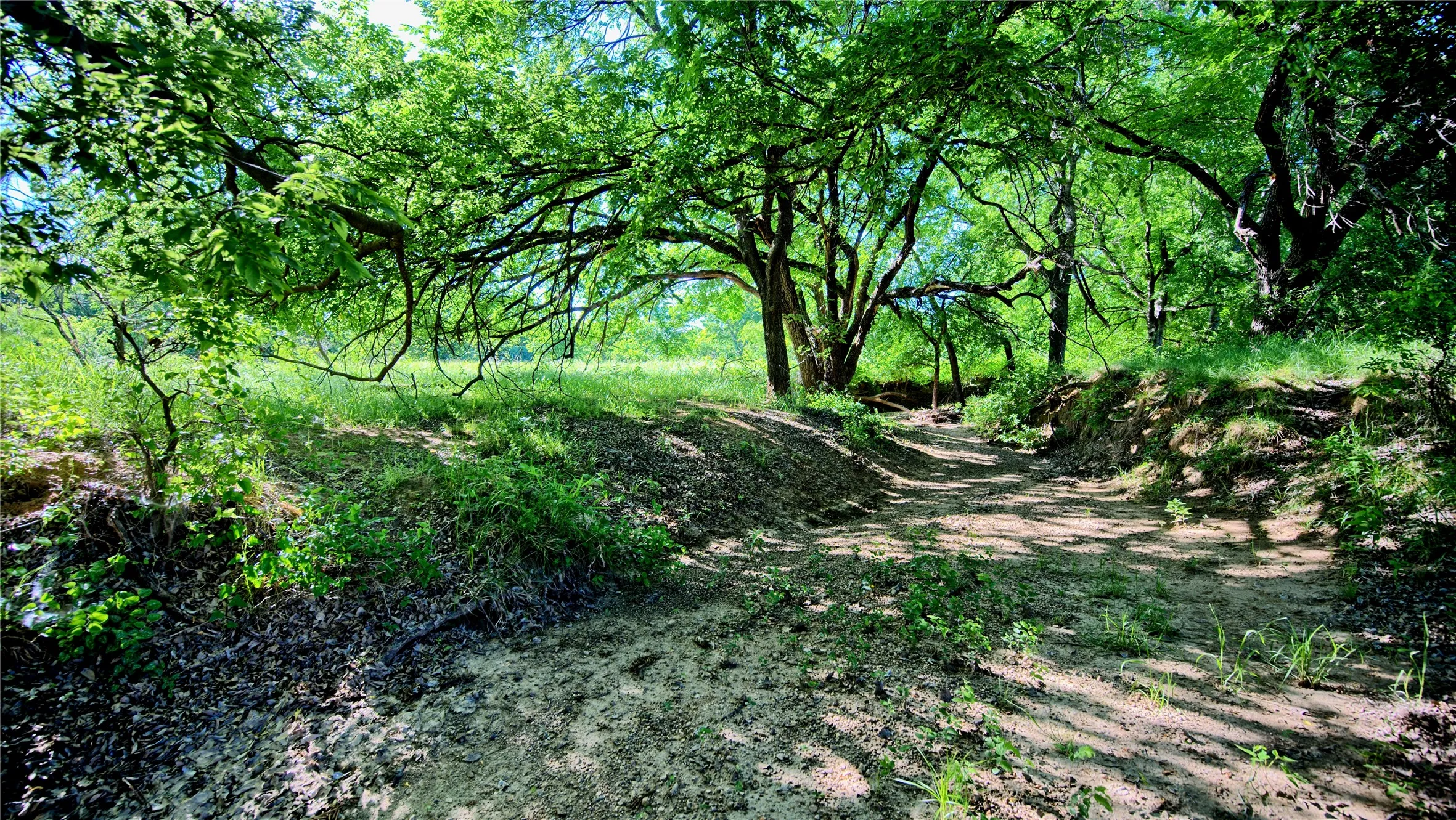 Unimproved Land For Sale in Montague County , 0000 Carpenter, Nocona, Texas 76255, 0, 0, Garage spaces, 0 Sqft, built in 0, Price $392,350, mls#21135583, Real Estate Agent in Nocona, Homes For Sale in Montague county, Homes For Sale in Nocona, Realtor in Nocona Texas, Real Estate Brokerage Independent Realty Texas, Luminita Cordes Realtor