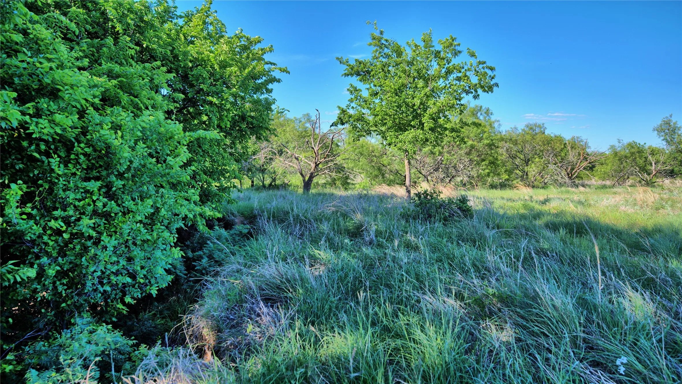 Unimproved Land For Sale in Montague County , 0000 Carpenter, Nocona, Texas 76255, 0, 0, Garage spaces, 0 Sqft, built in 0, Price $392,350, mls#21135583, Real Estate Agent in Nocona, Homes For Sale in Montague county, Homes For Sale in Nocona, Realtor in Nocona Texas, Real Estate Brokerage Independent Realty Texas, Luminita Cordes Realtor