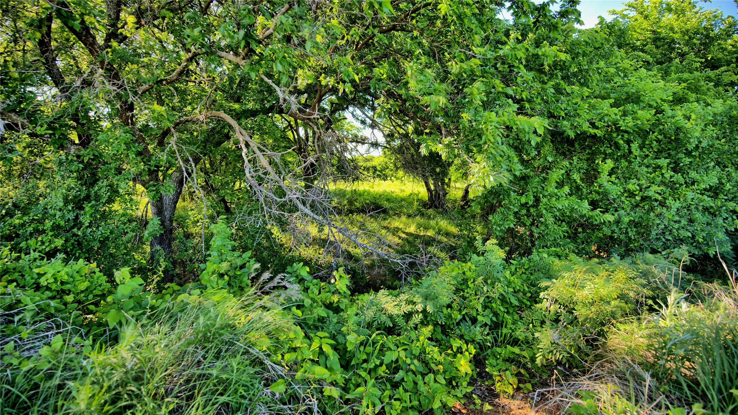 Unimproved Land For Sale in Montague County , 0000 Carpenter, Nocona, Texas 76255, 0, 0, Garage spaces, 0 Sqft, built in 0, Price $392,350, mls#21135583, Real Estate Agent in Nocona, Homes For Sale in Montague county, Homes For Sale in Nocona, Realtor in Nocona Texas, Real Estate Brokerage Independent Realty Texas, Luminita Cordes Realtor