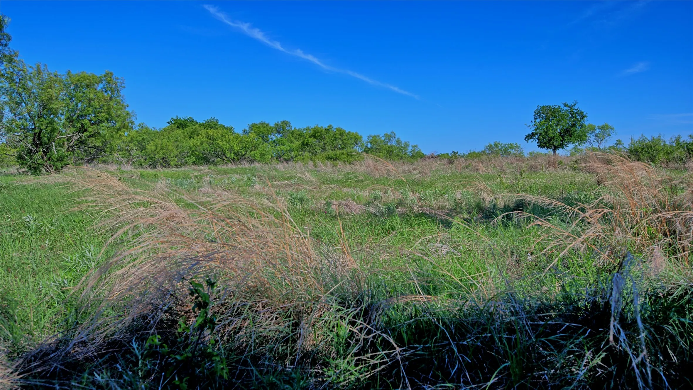 Unimproved Land For Sale in Montague County , 0000 Carpenter, Nocona, Texas 76255, 0, 0, Garage spaces, 0 Sqft, built in 0, Price $392,350, mls#21135583, Real Estate Agent in Nocona, Homes For Sale in Montague county, Homes For Sale in Nocona, Realtor in Nocona Texas, Real Estate Brokerage Independent Realty Texas, Luminita Cordes Realtor