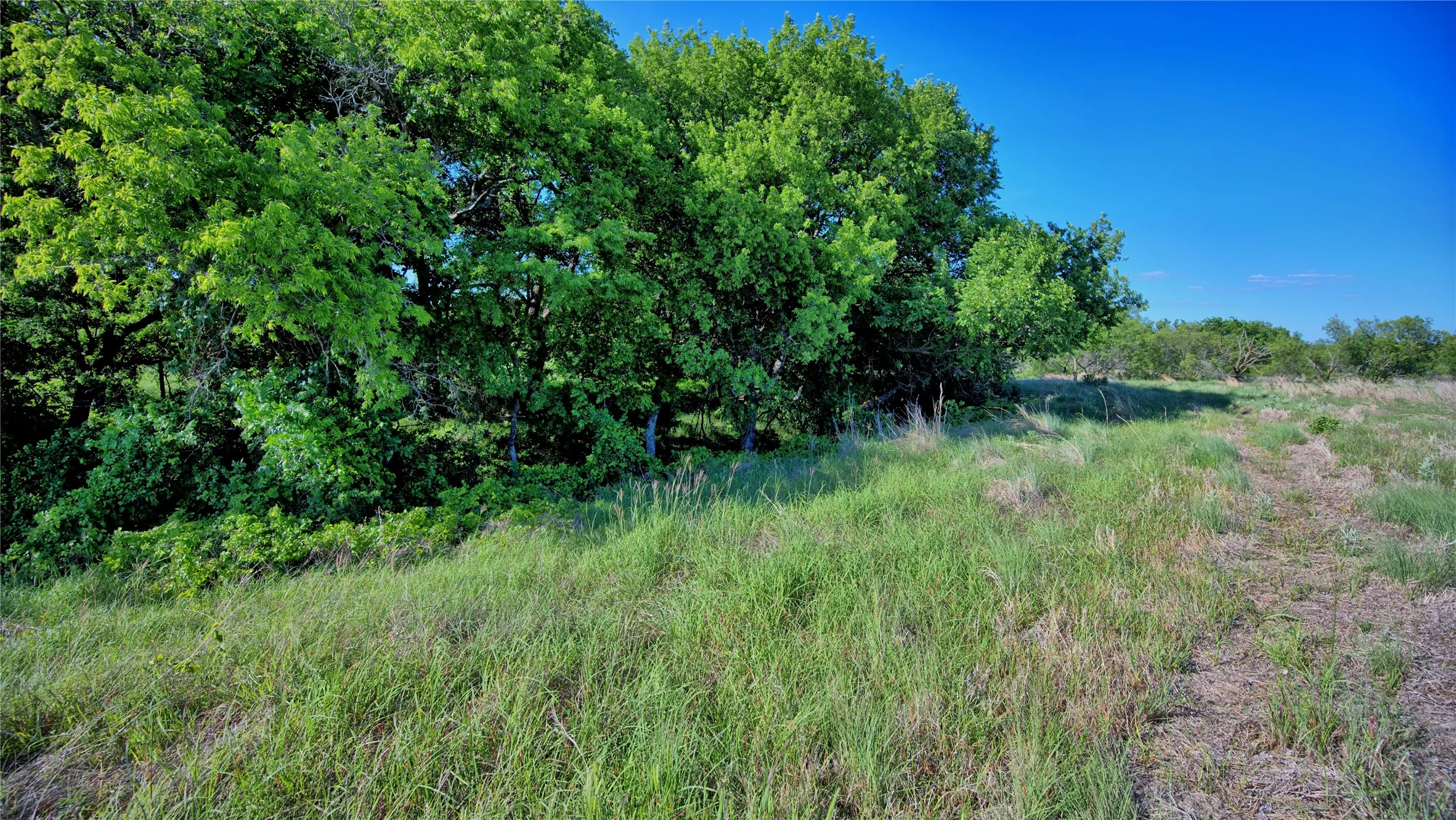 Unimproved Land For Sale in Montague County , 0000 Carpenter, Nocona, Texas 76255, 0, 0, Garage spaces, 0 Sqft, built in 0, Price $392,350, mls#21135583, Real Estate Agent in Nocona, Homes For Sale in Montague county, Homes For Sale in Nocona, Realtor in Nocona Texas, Real Estate Brokerage Independent Realty Texas, Luminita Cordes Realtor