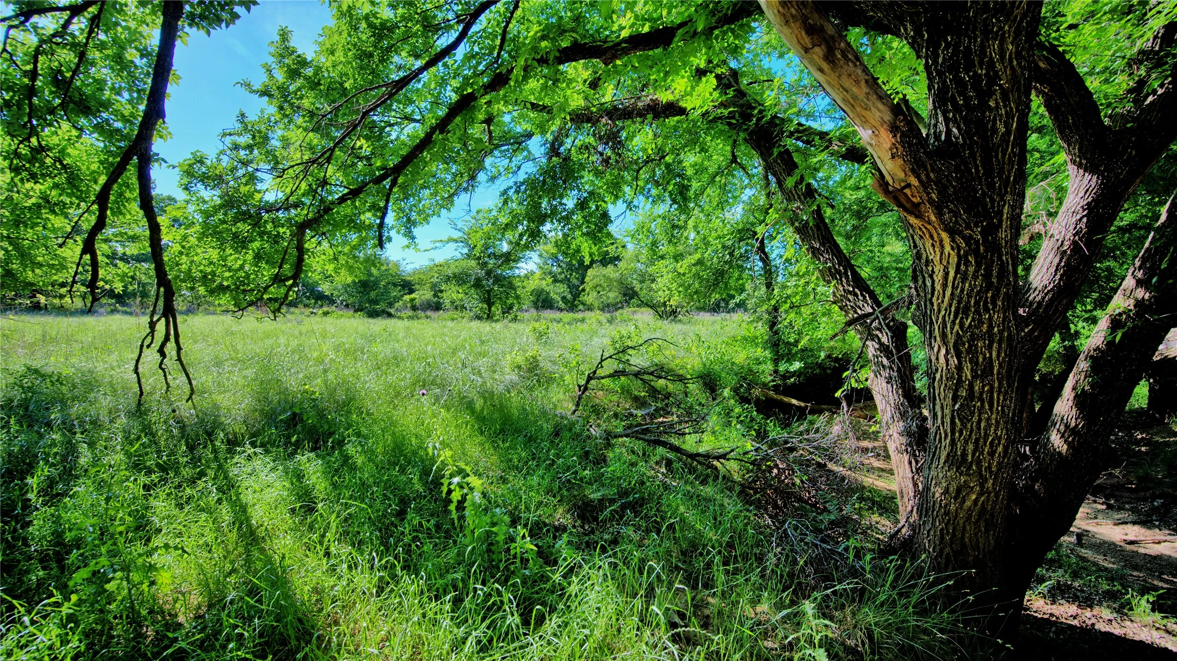 Unimproved Land For Sale in Montague County , 0000 Carpenter, Nocona, Texas 76255, 0, 0, Garage spaces, 0 Sqft, built in 0, Price $392,350, mls#21135583, Real Estate Agent in Nocona, Homes For Sale in Montague county, Homes For Sale in Nocona, Realtor in Nocona Texas, Real Estate Brokerage Independent Realty Texas, Luminita Cordes Realtor