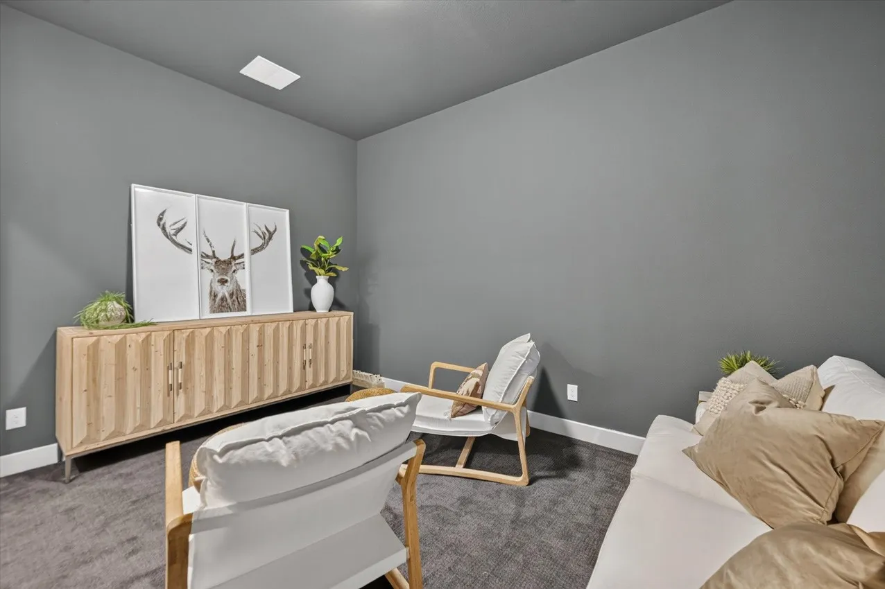 Entertainment Room
